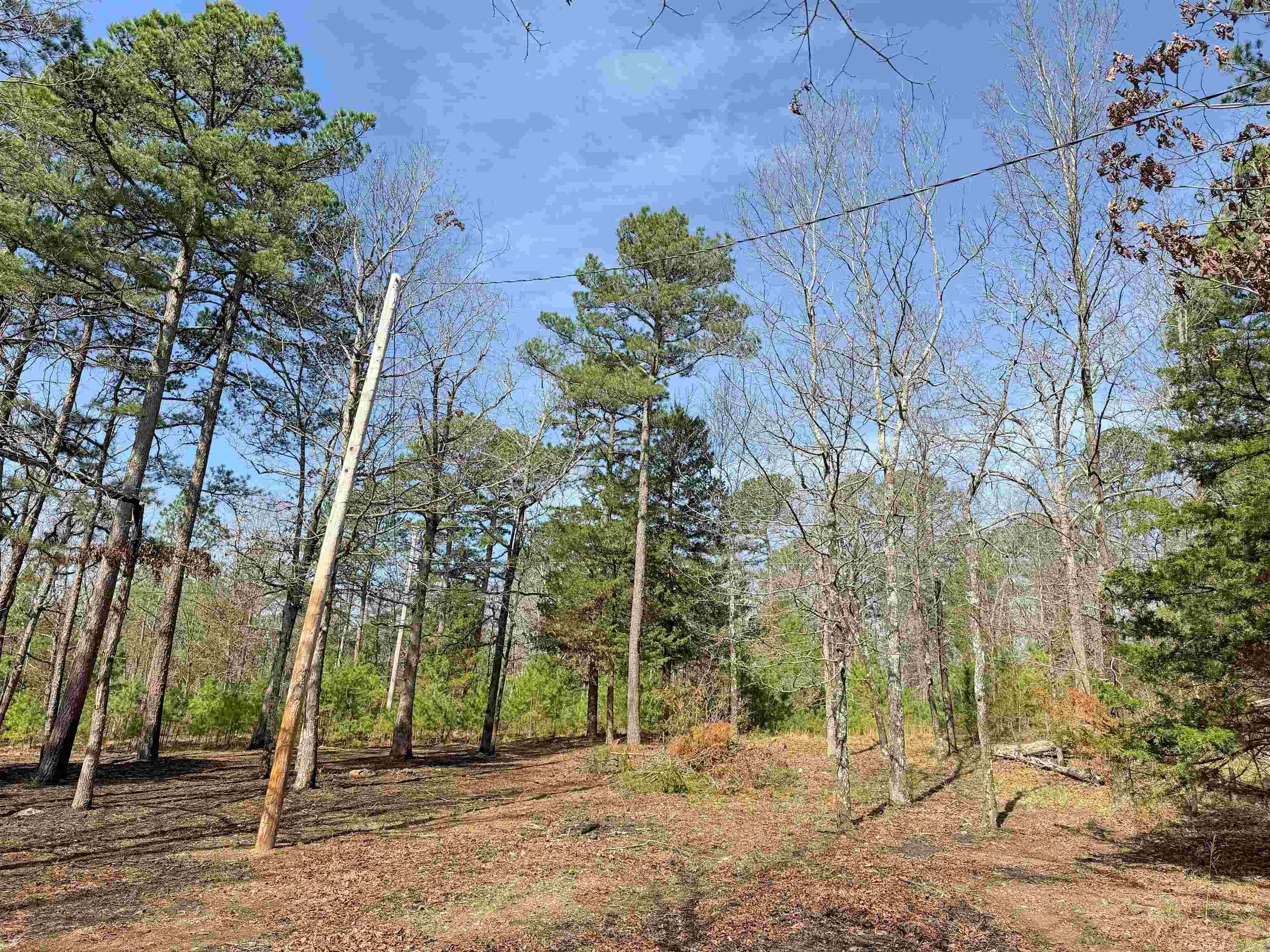 000 Arrowhead Ln.  Mountain View, AR