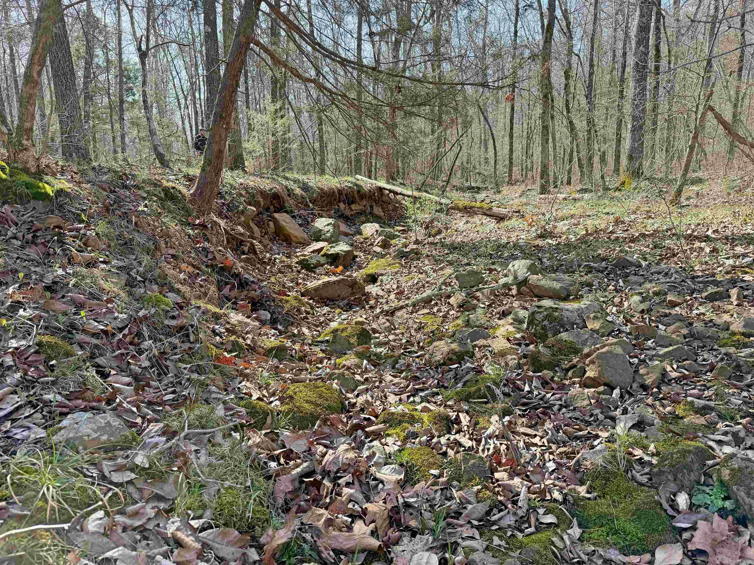 000 Arrowhead Ln.  Mountain View, AR