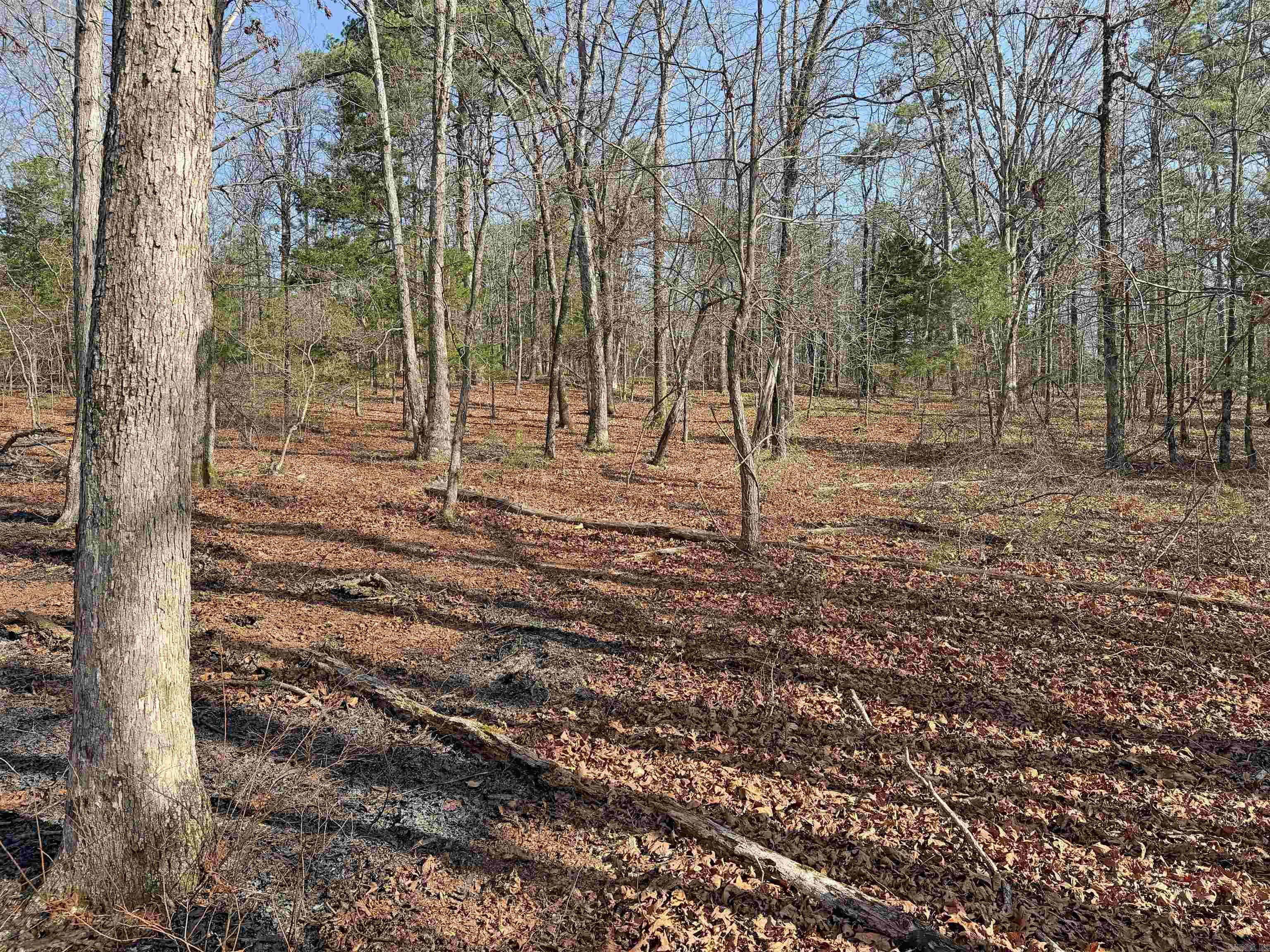 000 Arrowhead Ln.  Mountain View, AR