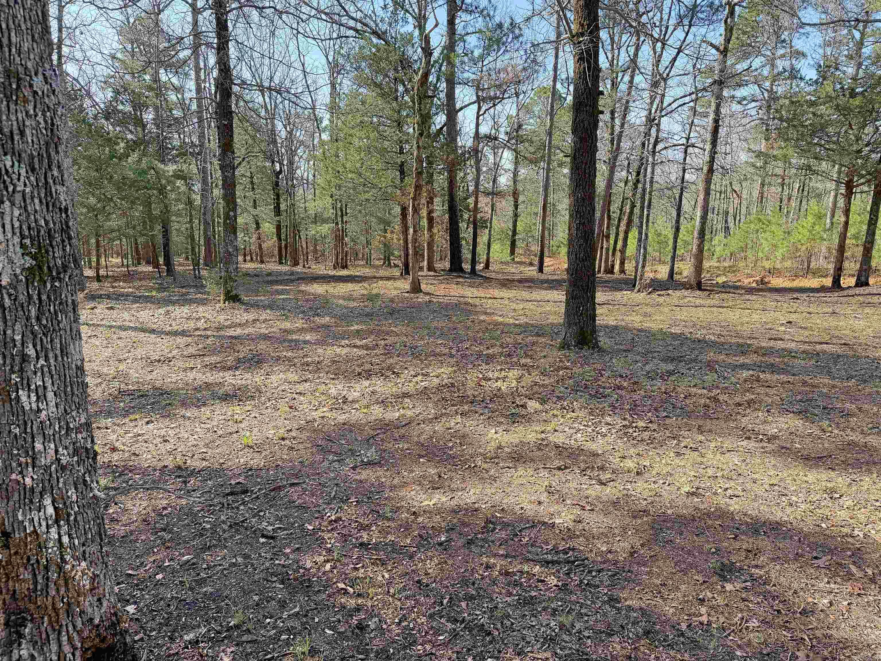 000 Arrowhead Ln.  Mountain View, AR