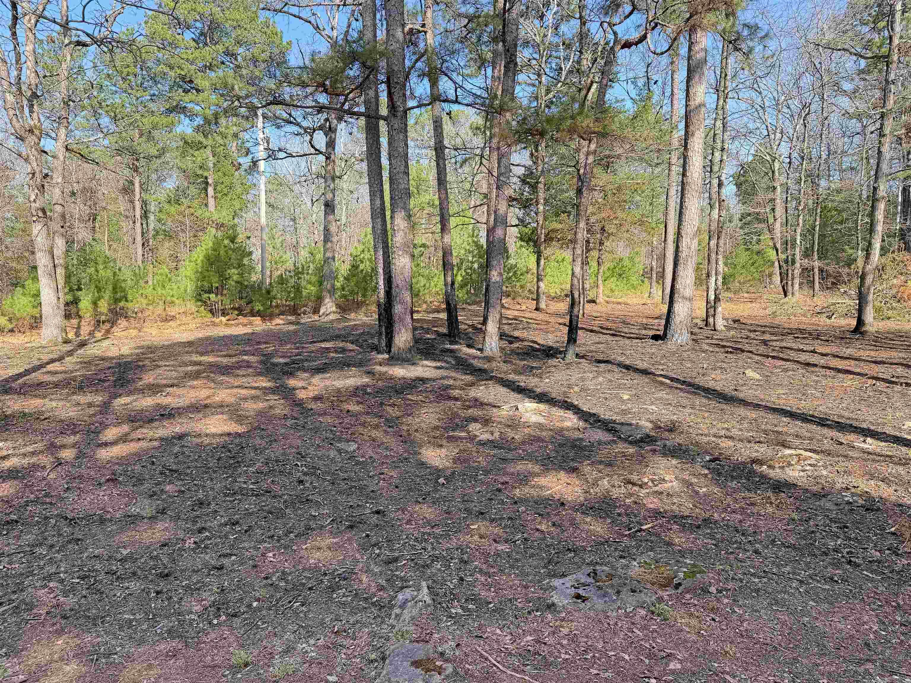 000 Arrowhead Ln.  Mountain View, AR