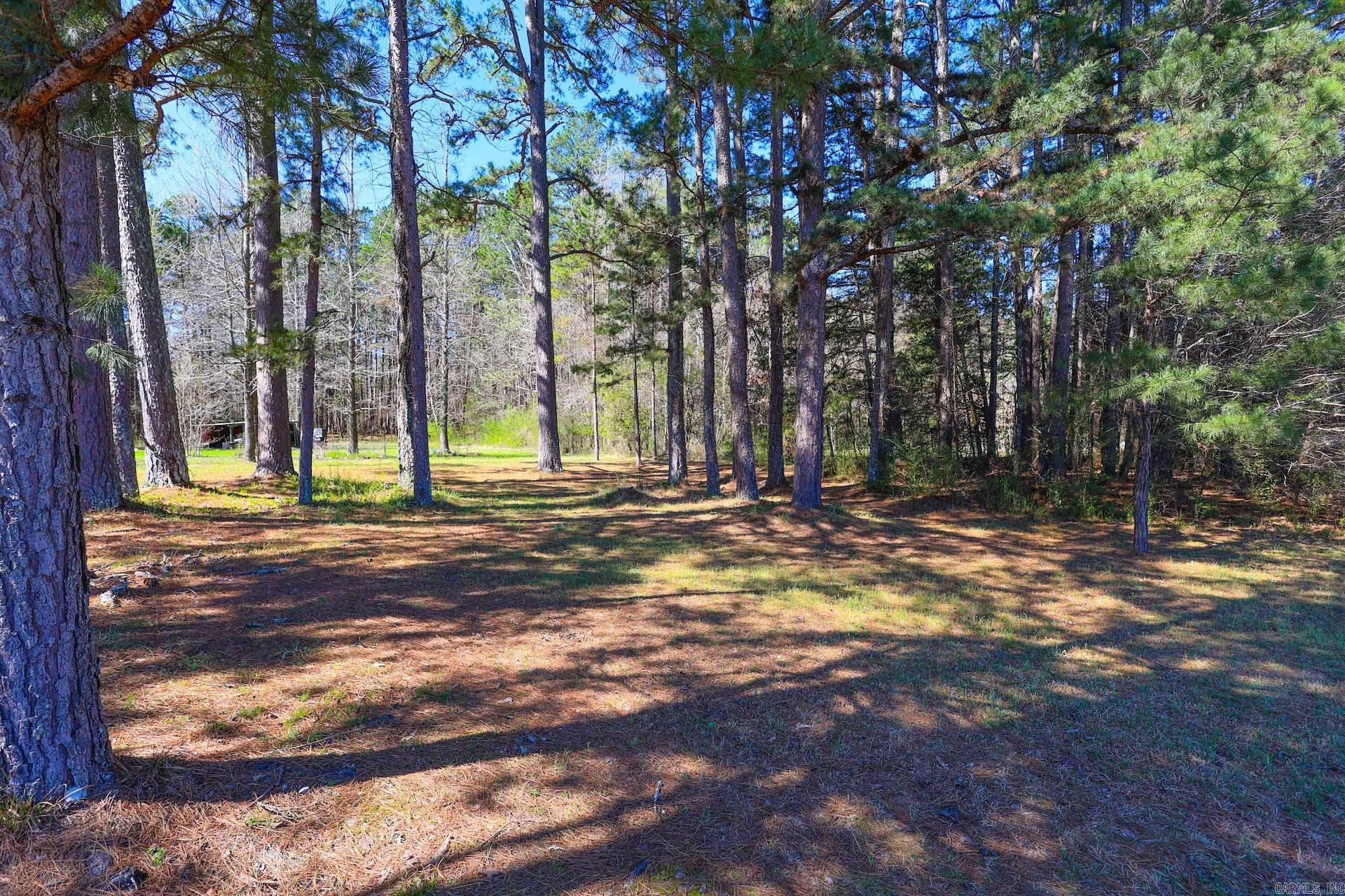 5918 HWY 8 E  Mena, AR