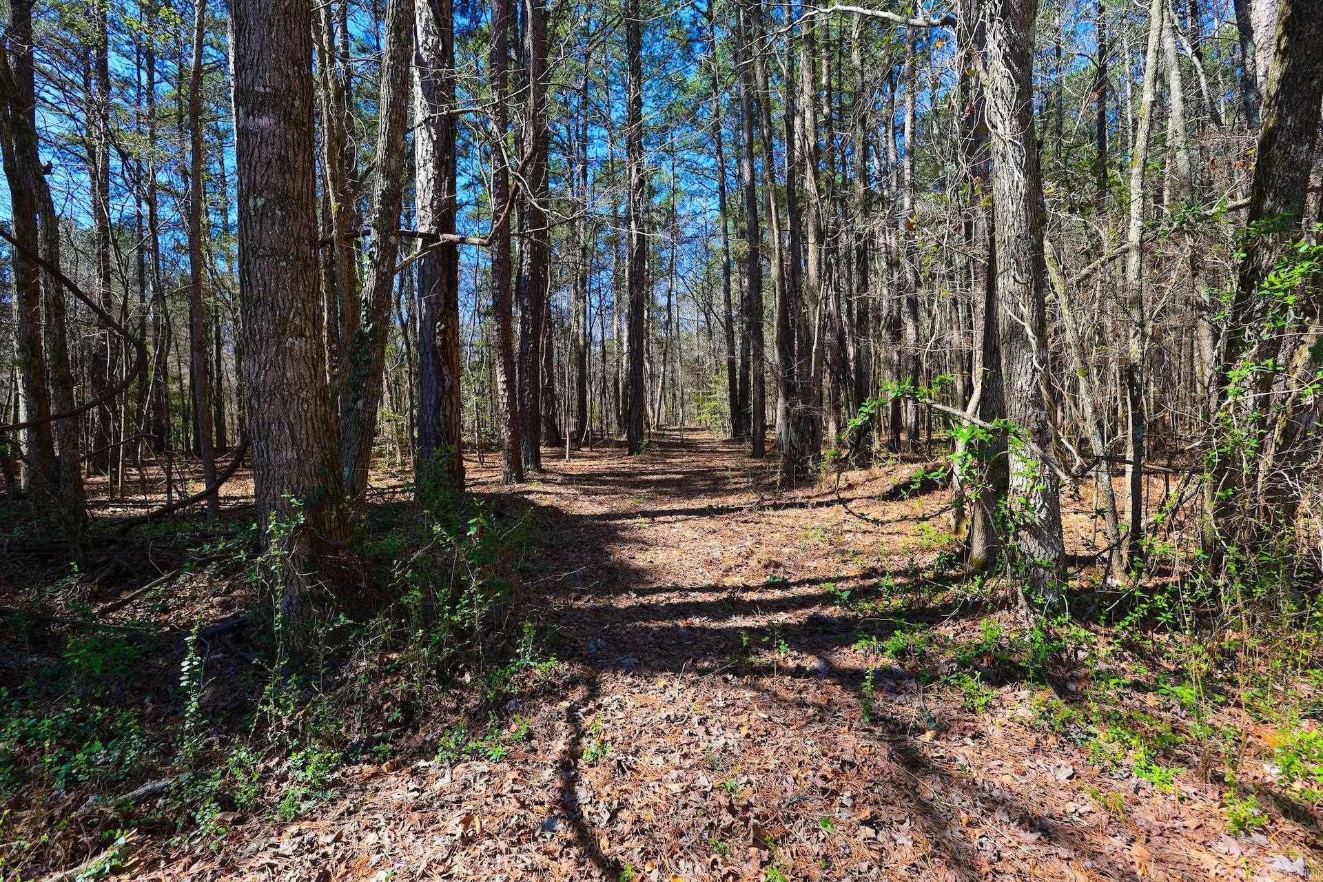 5918 HWY 8 E  Mena, AR