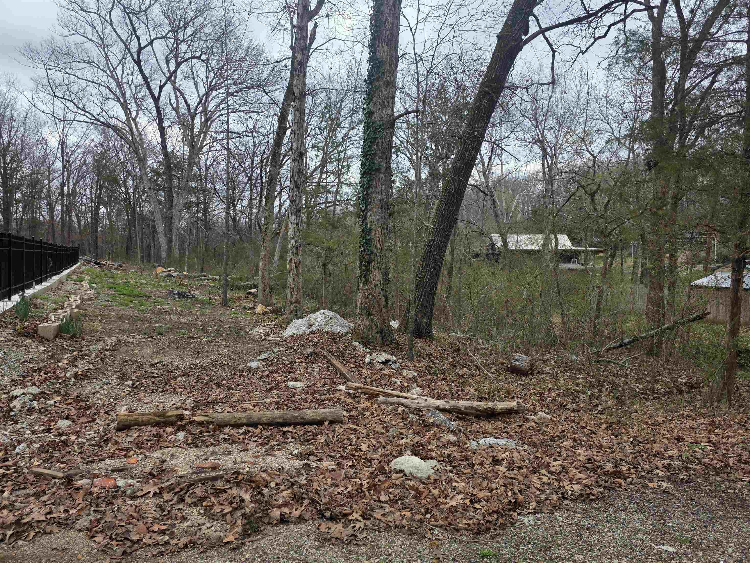 L95 B5 Walla Walla  Cherokee Village, AR