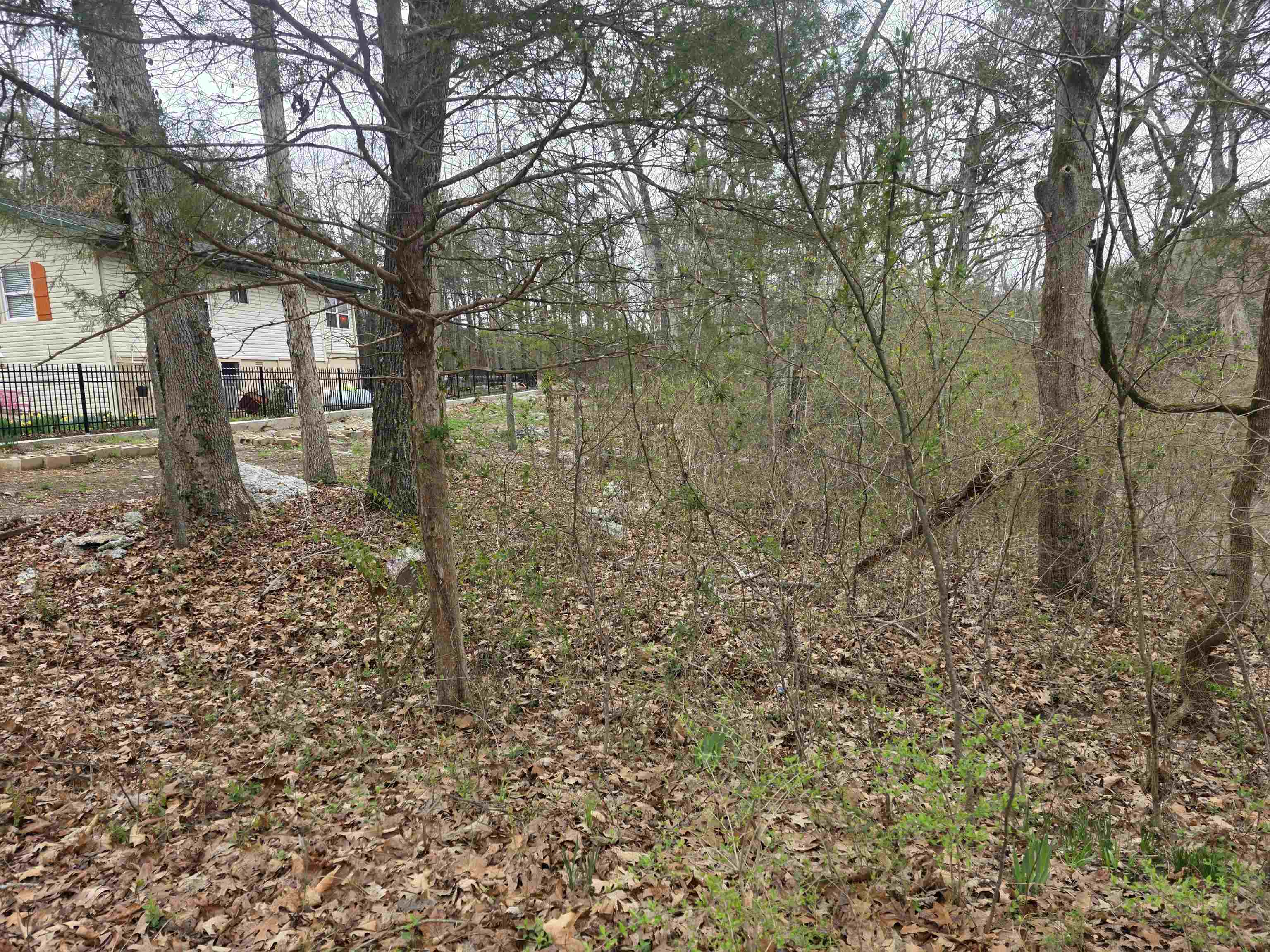 L95 B5 Walla Walla  Cherokee Village, AR