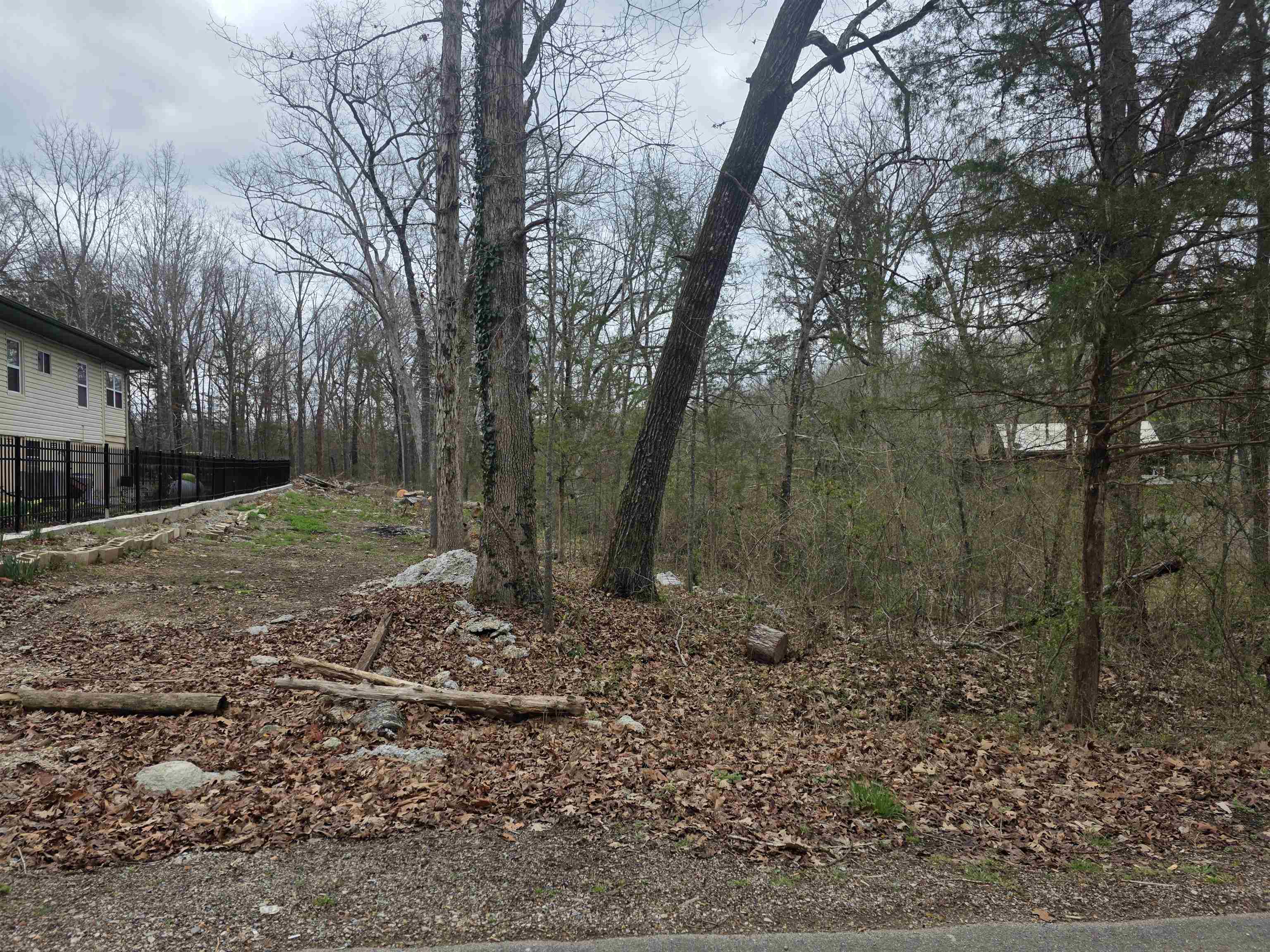 L95 B5 Walla Walla  Cherokee Village, AR