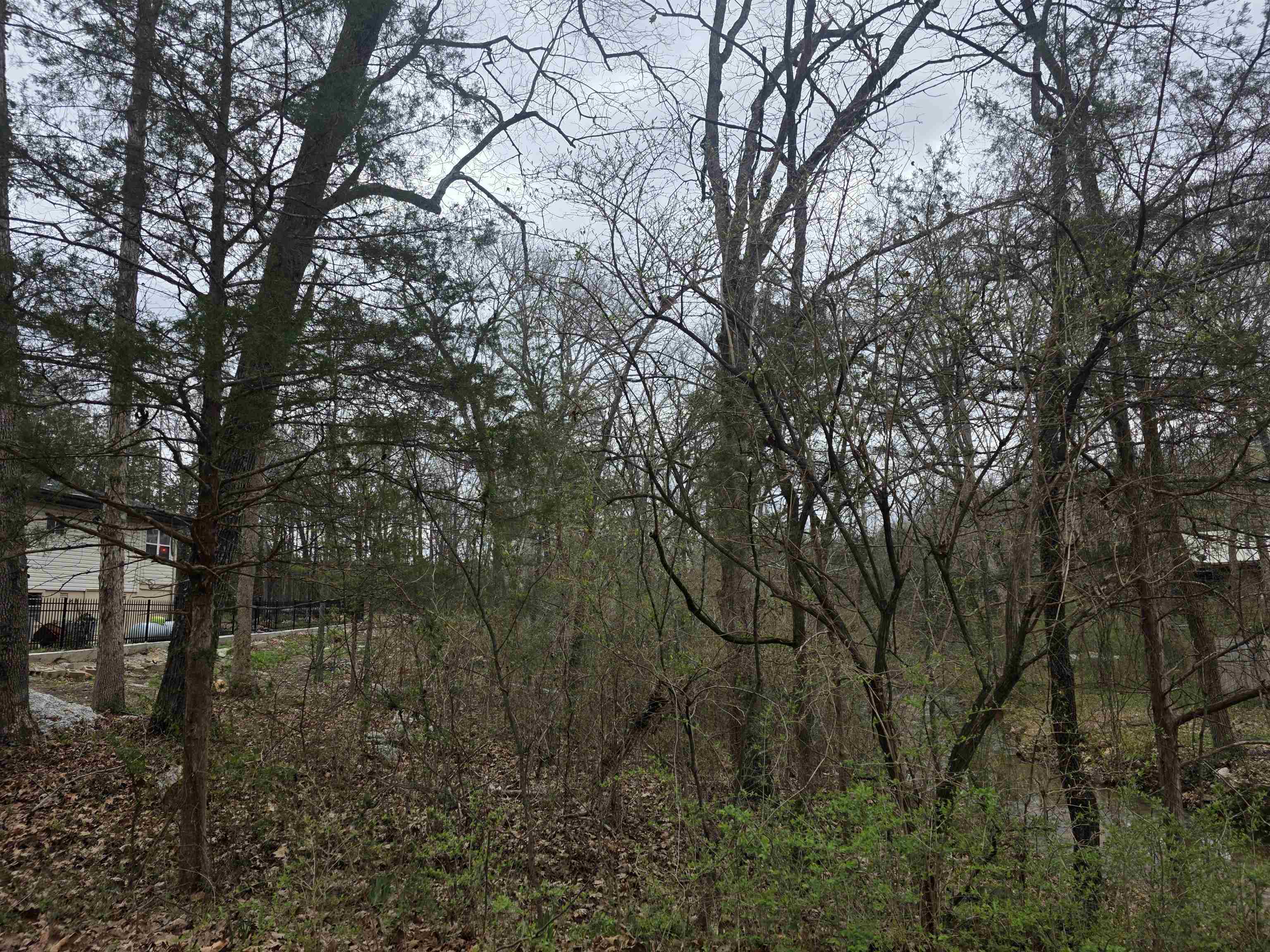 L95 B5 Walla Walla  Cherokee Village, AR