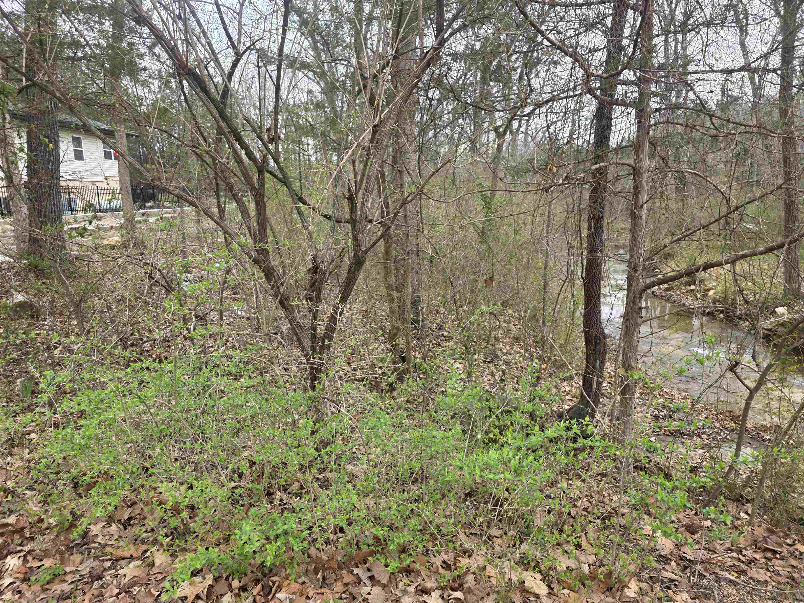 L95 B5 Walla Walla  Cherokee Village, AR