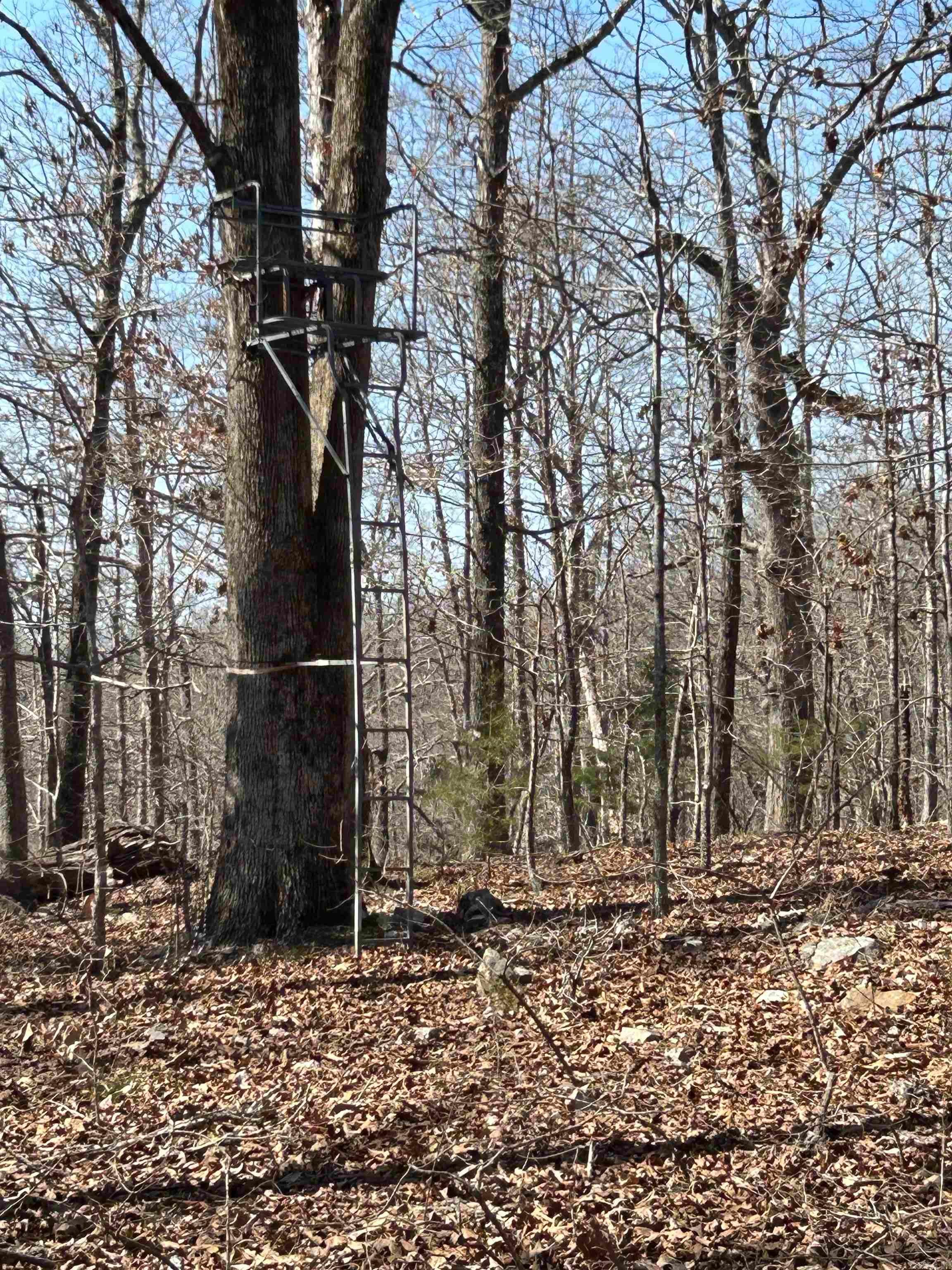 71 Acres McFadden & Springwood  Hardy, AR