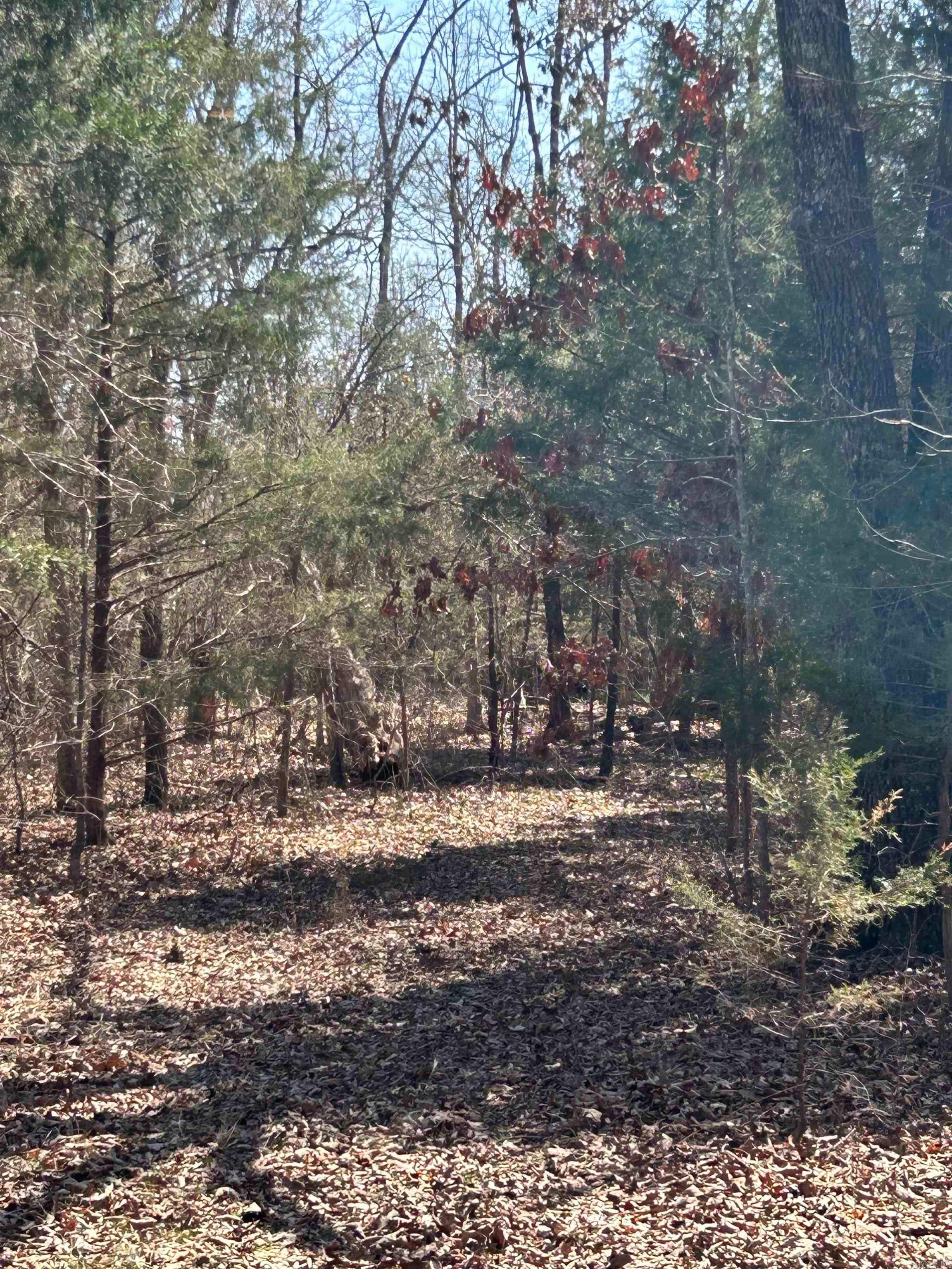 71 Acres McFadden & Springwood  Hardy, AR