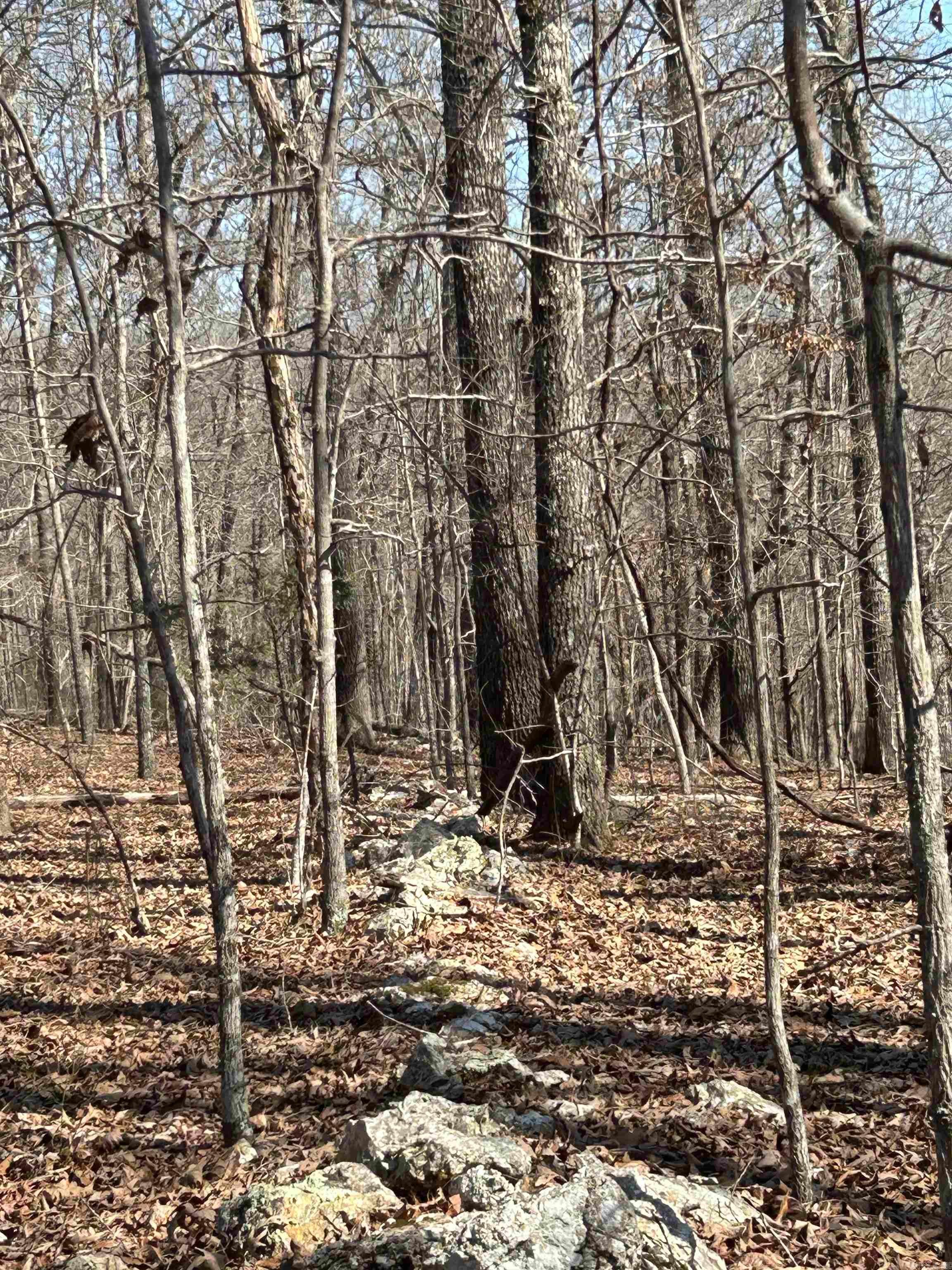 71 Acres McFadden & Springwood  Hardy, AR