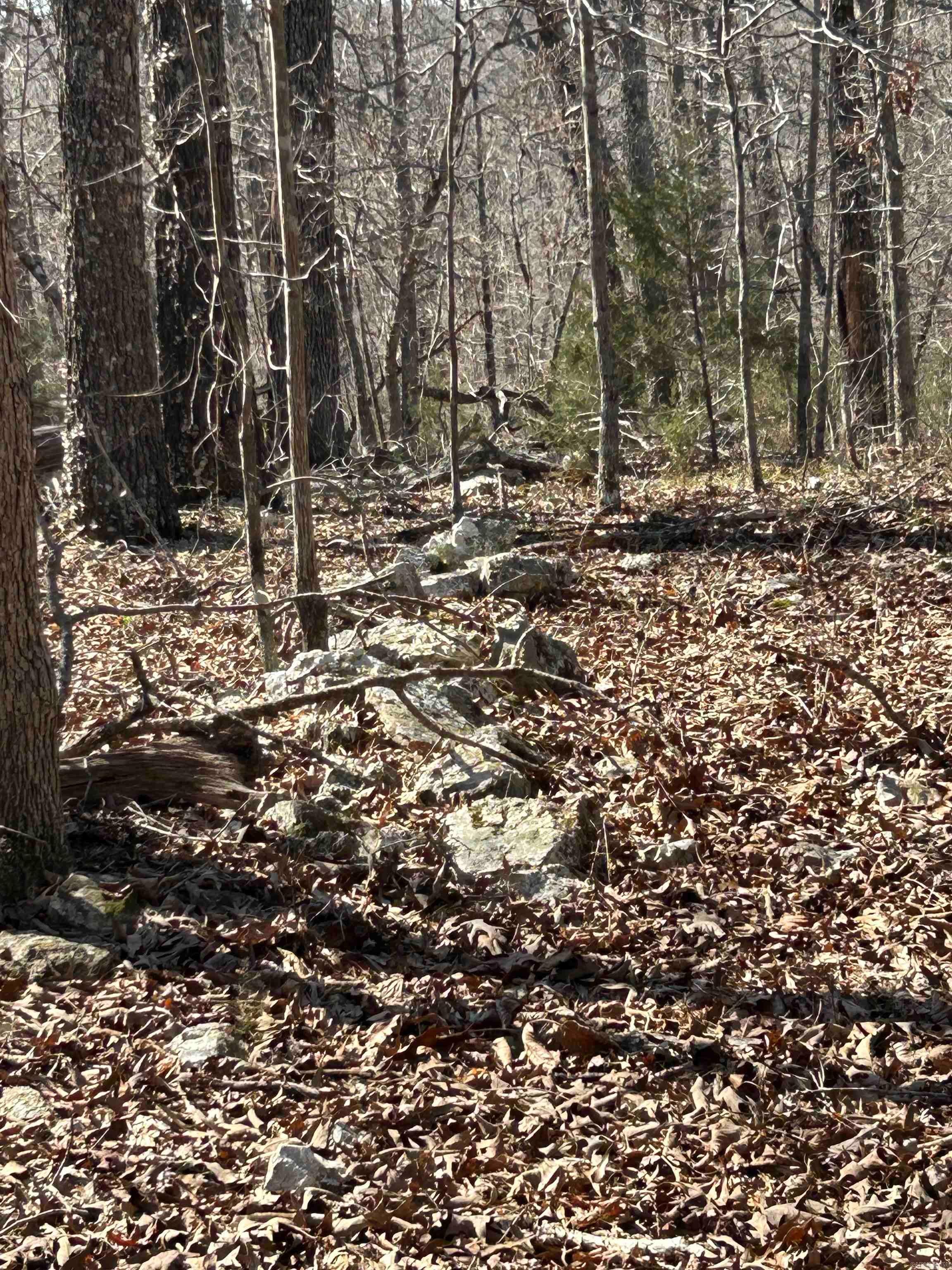 71 Acres McFadden & Springwood  Hardy, AR