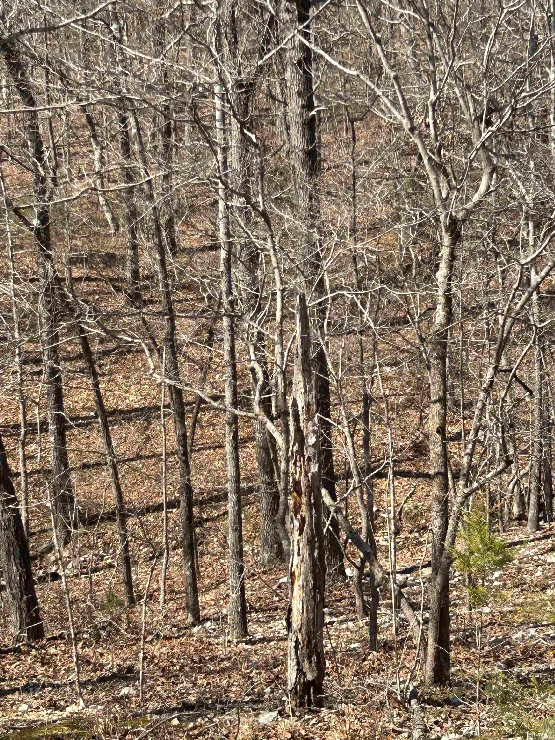 71 Acres McFadden & Springwood  Hardy, AR