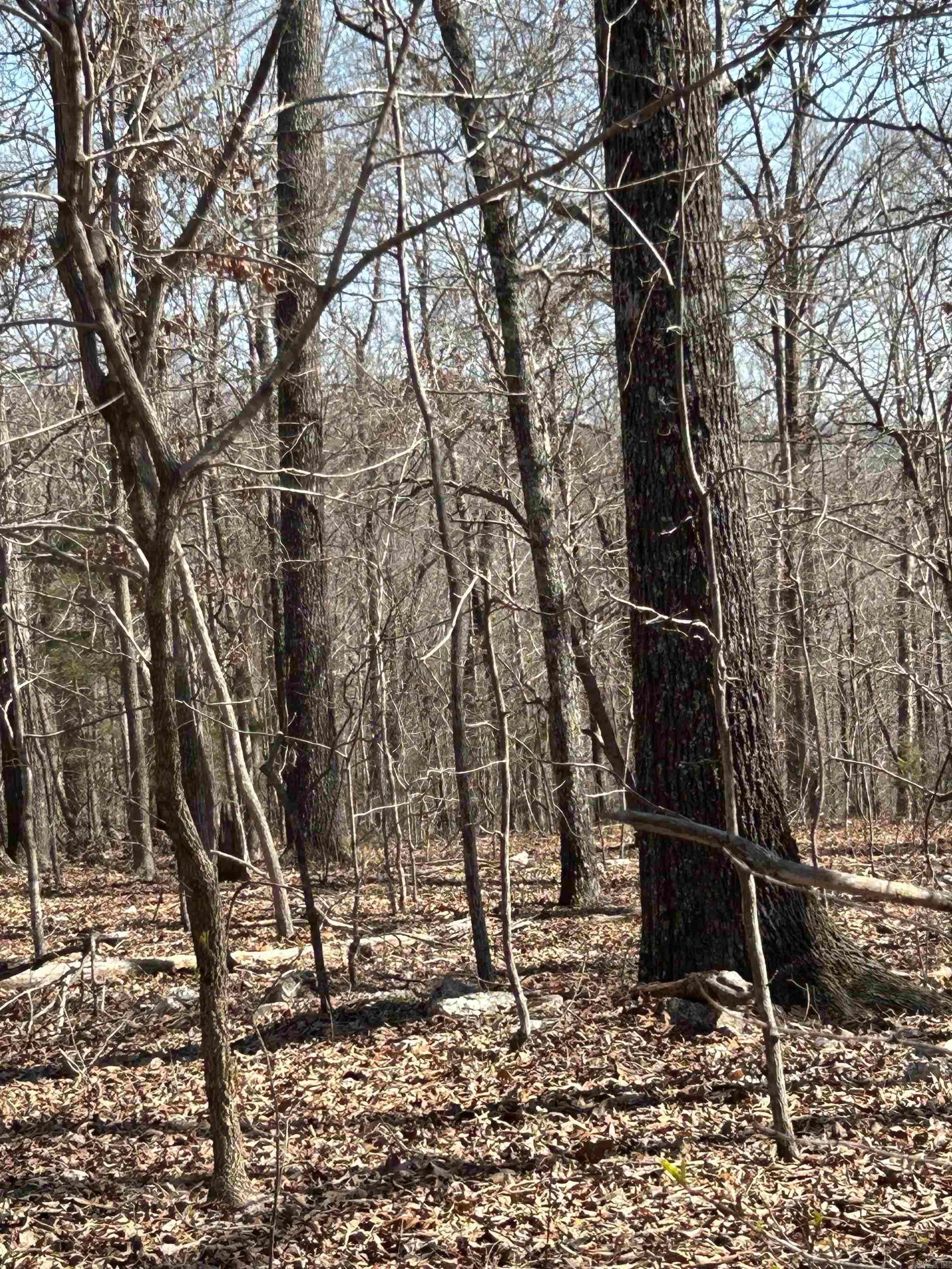 71 Acres McFadden & Springwood  Hardy, AR