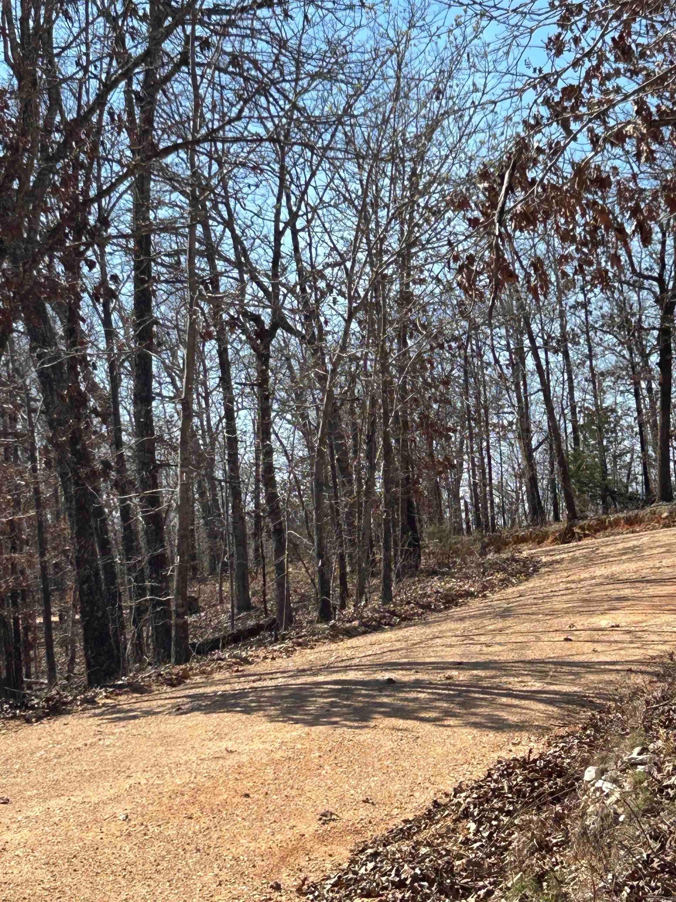 71 Acres McFadden & Springwood  Hardy, AR