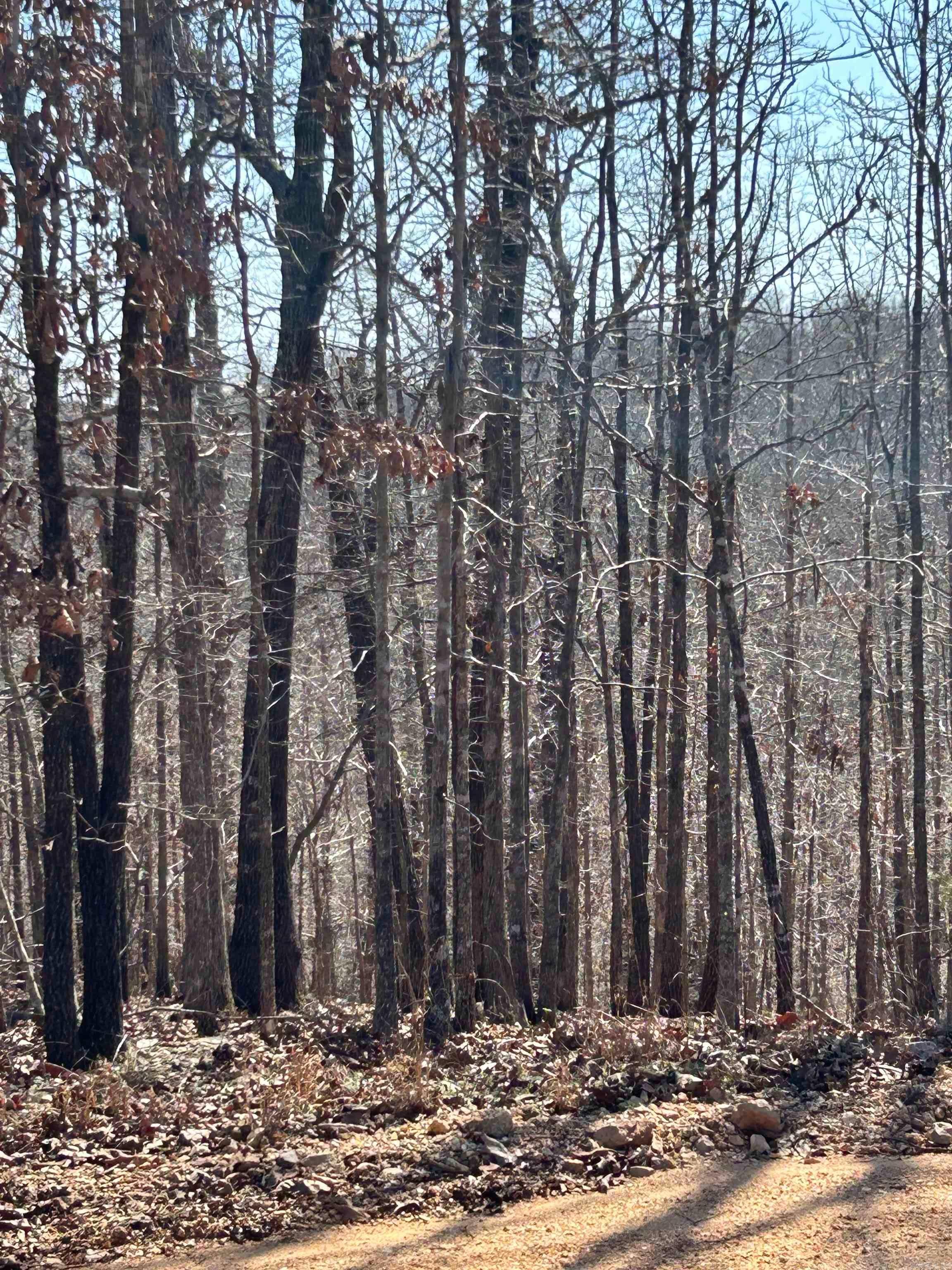 71 Acres McFadden & Springwood  Hardy, AR