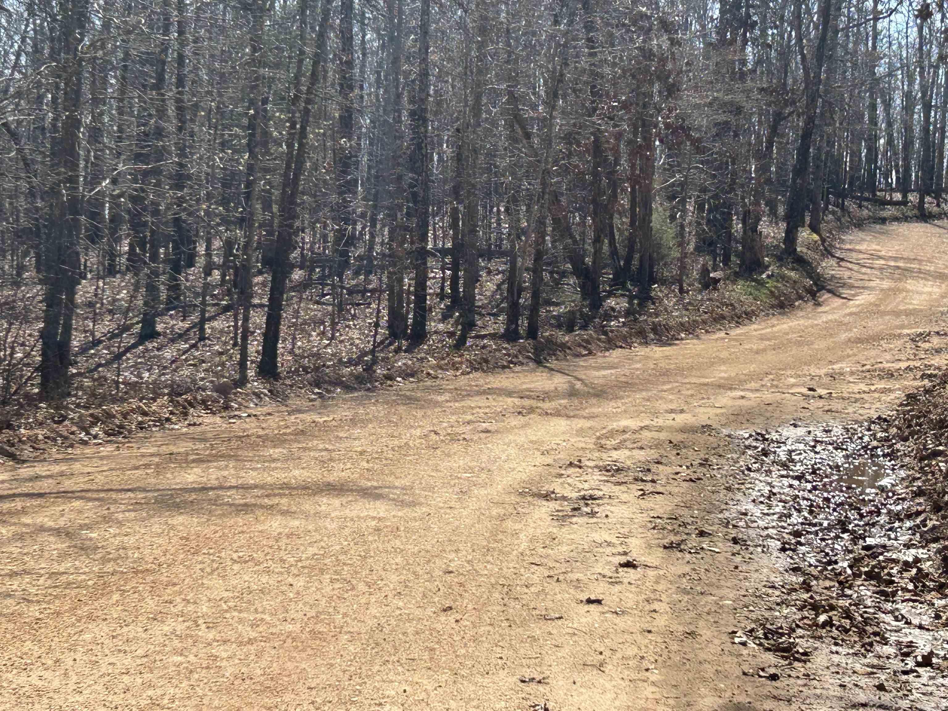 71 Acres McFadden & Springwood  Hardy, AR