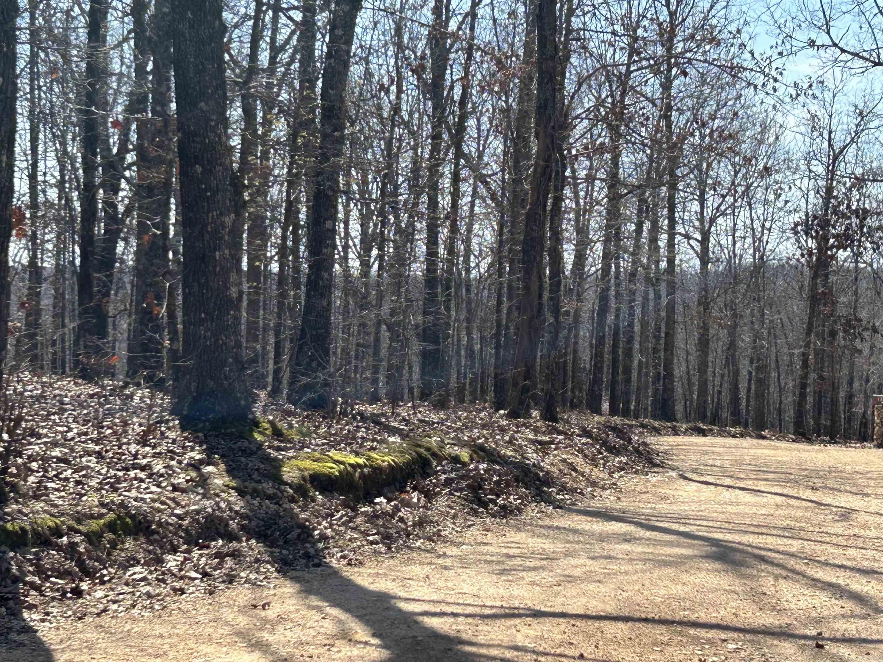 71 Acres McFadden & Springwood  Hardy, AR