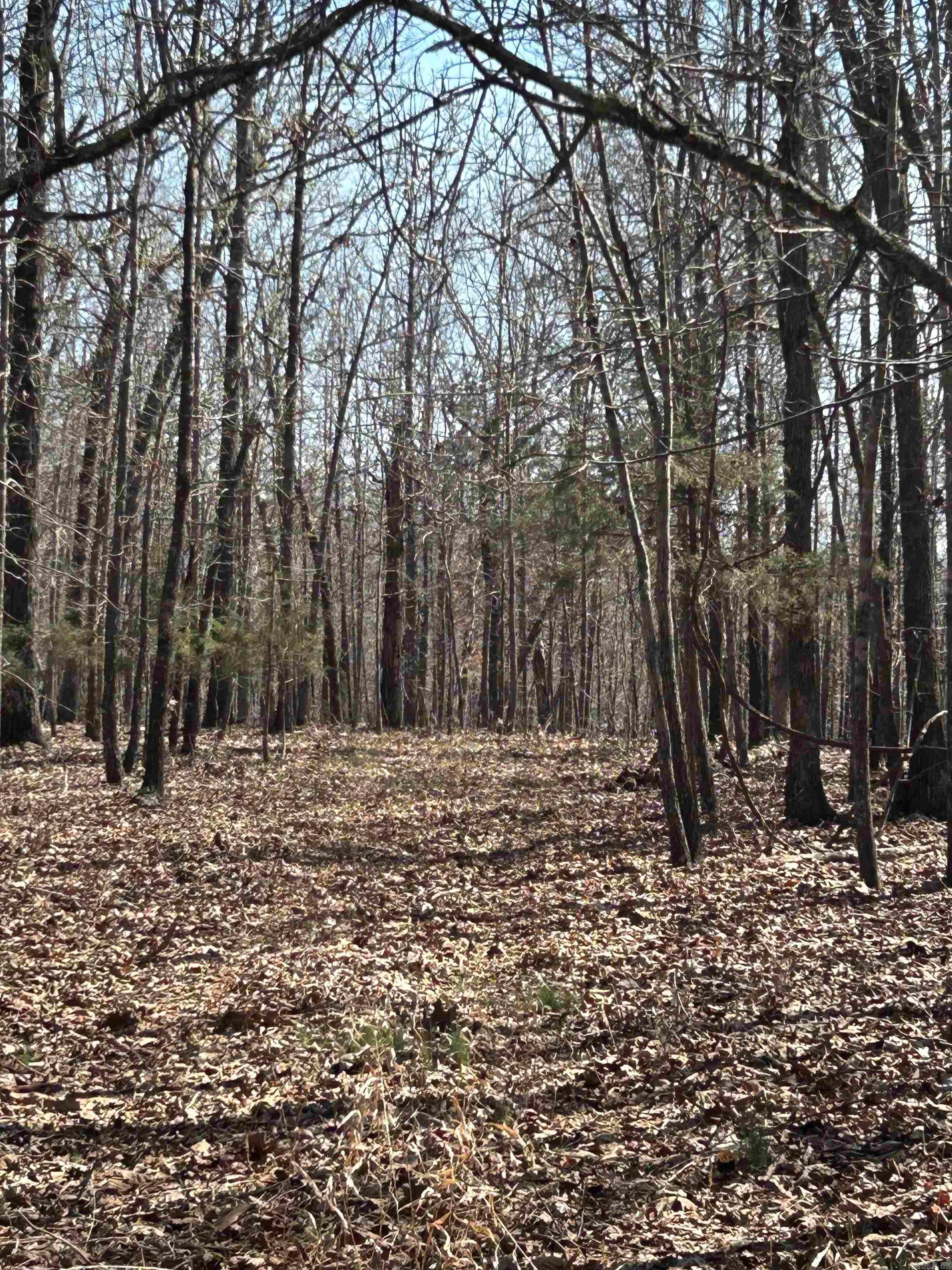 71 Acres McFadden & Springwood  Hardy, AR