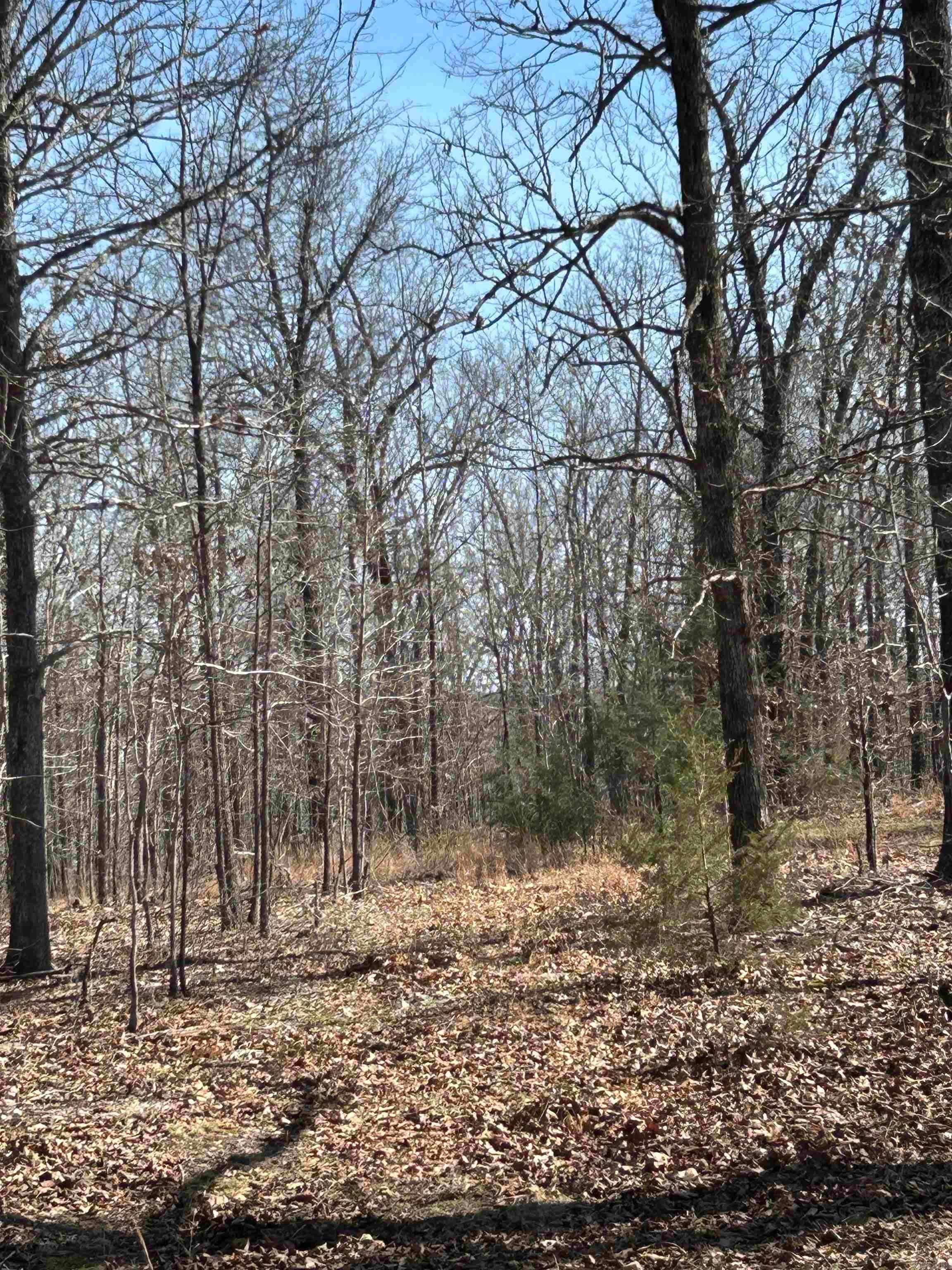 71 Acres McFadden & Springwood  Hardy, AR