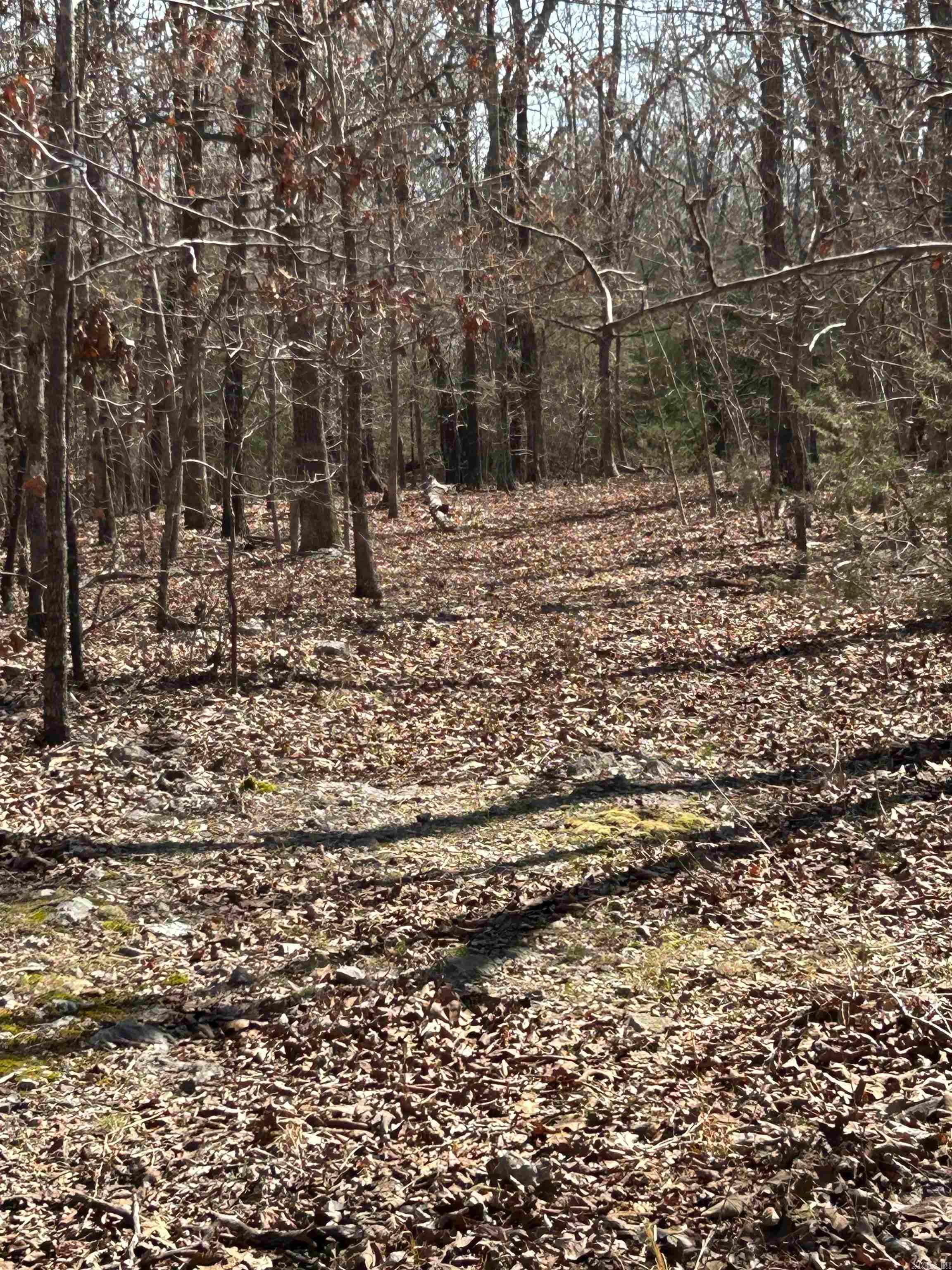 71 Acres McFadden & Springwood  Hardy, AR