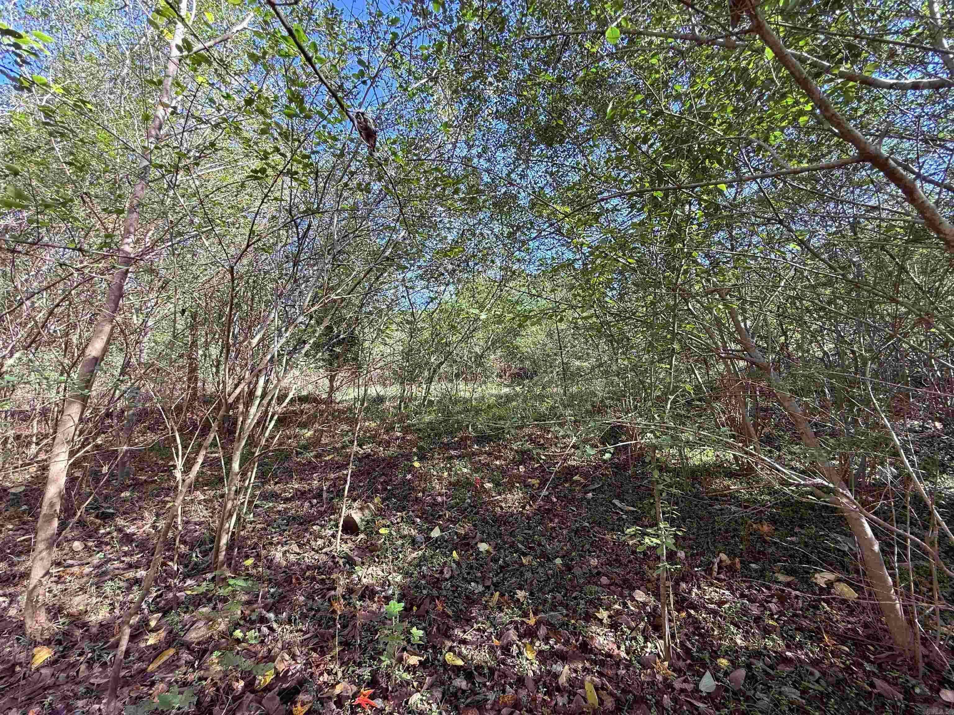 00 HWY 167  Bald Knob, AR