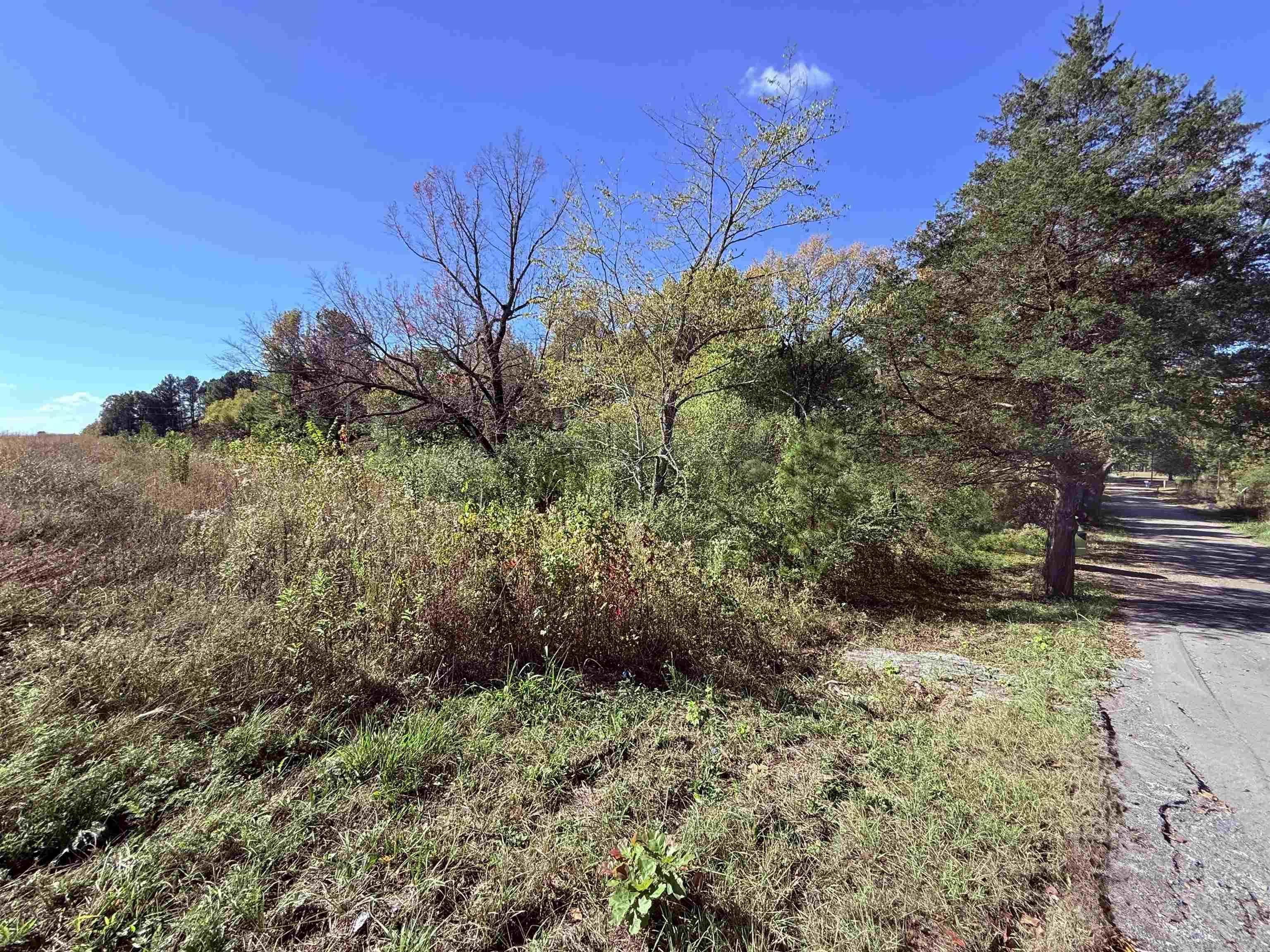 00 HWY 167  Bald Knob, AR