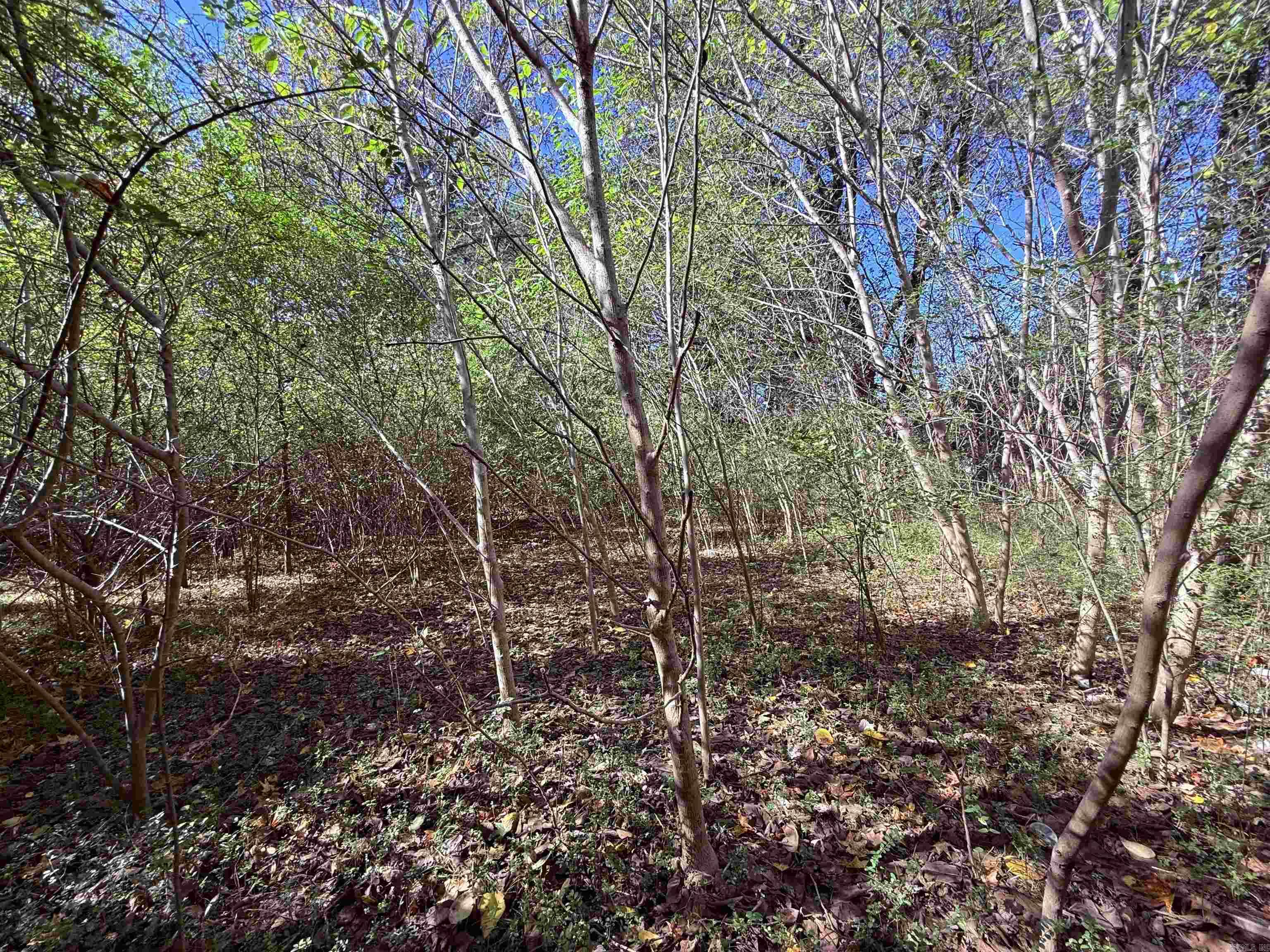 00 HWY 167  Bald Knob, AR