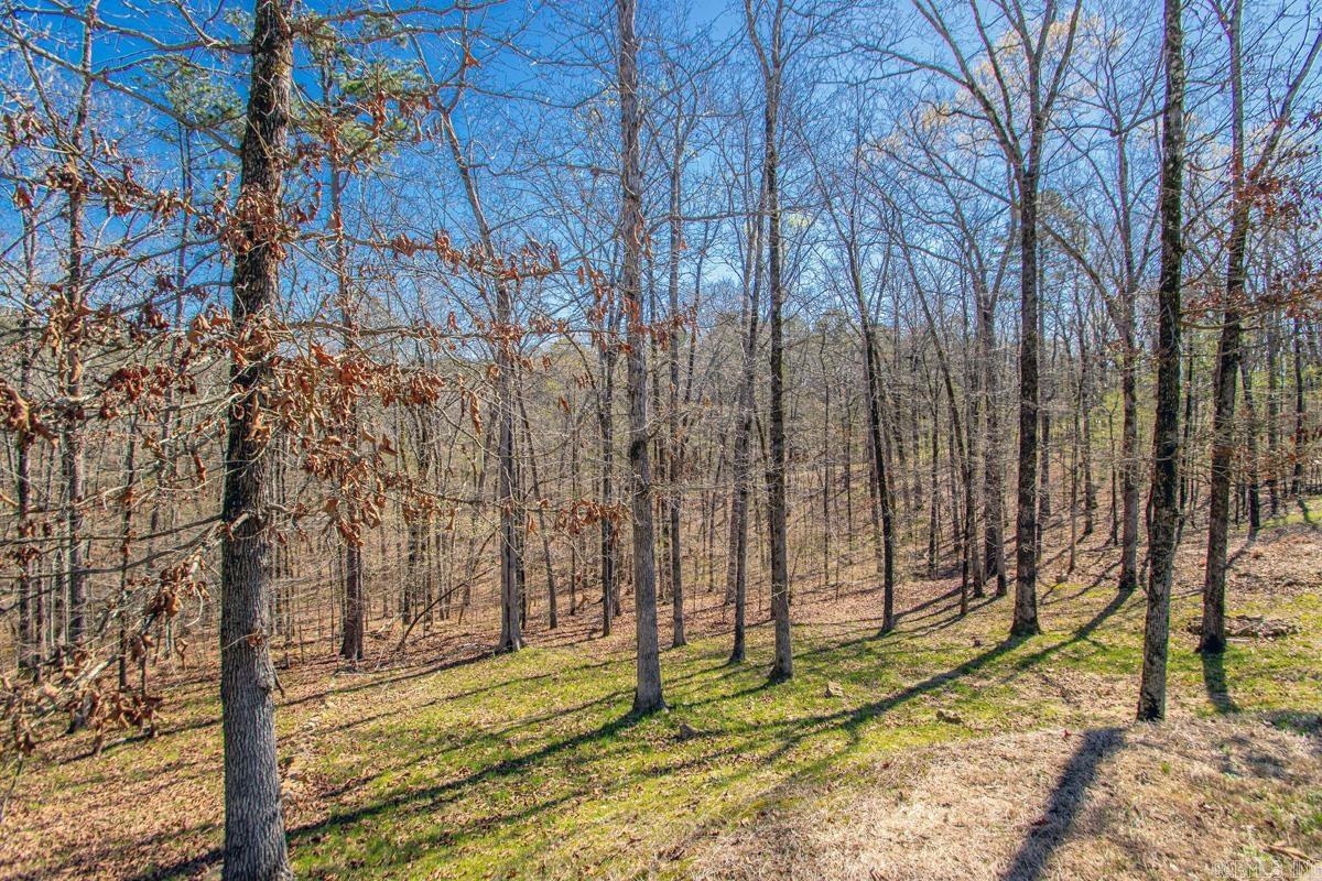 308 Diamondhead  Hot Springs, AR