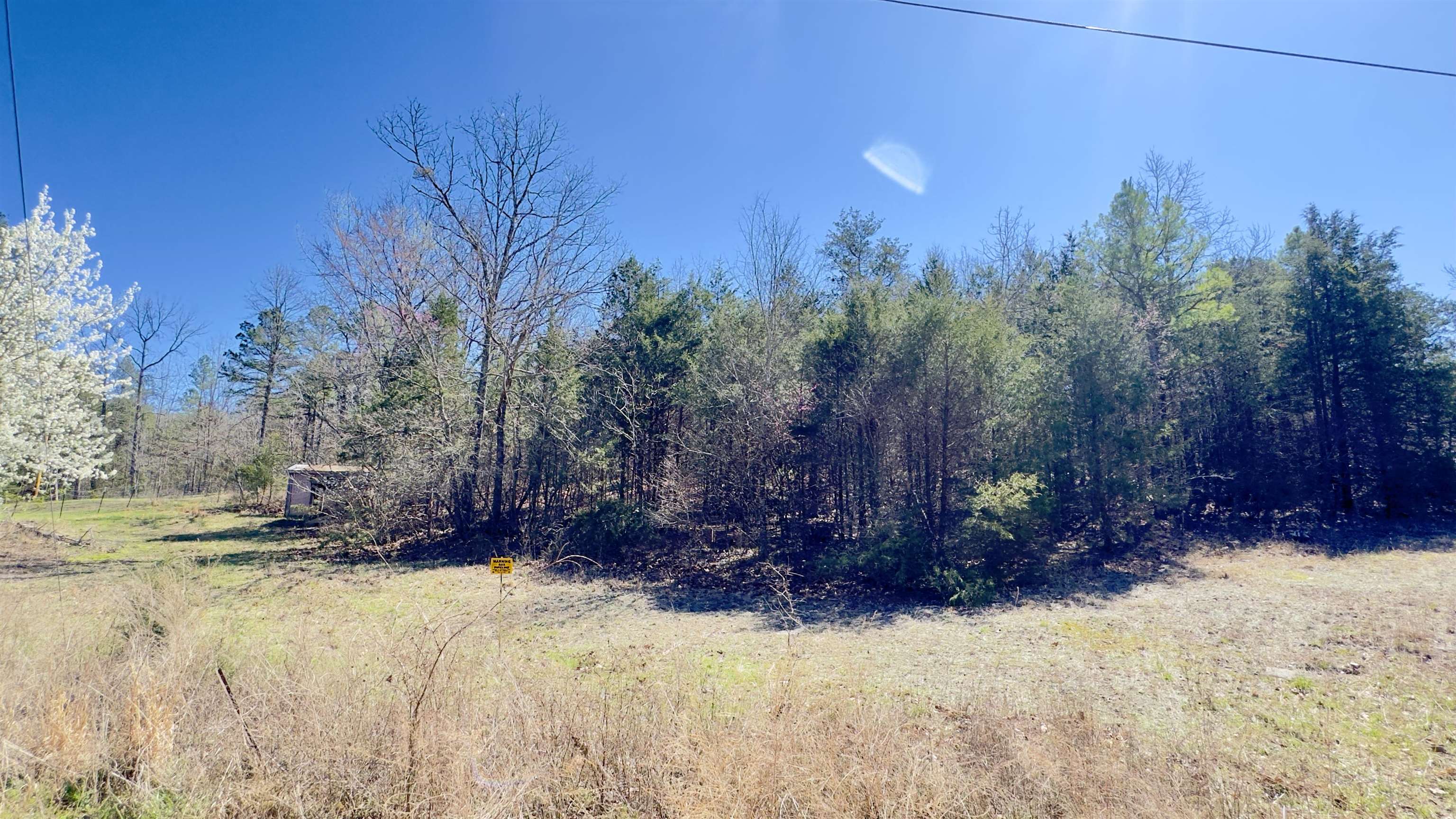 22 Red Lamb  Melbourne, AR