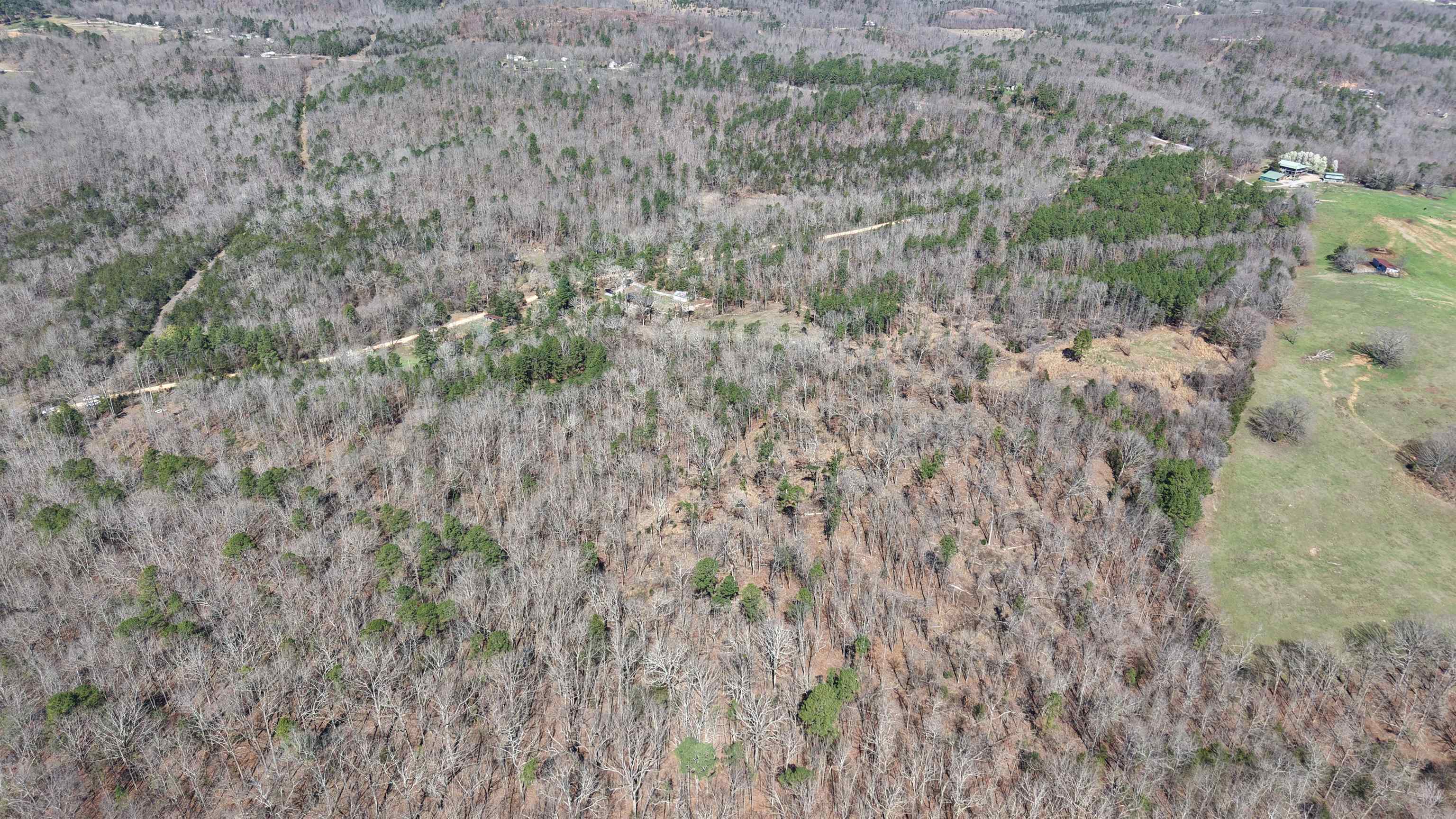 22 Red Lamb  Melbourne, AR