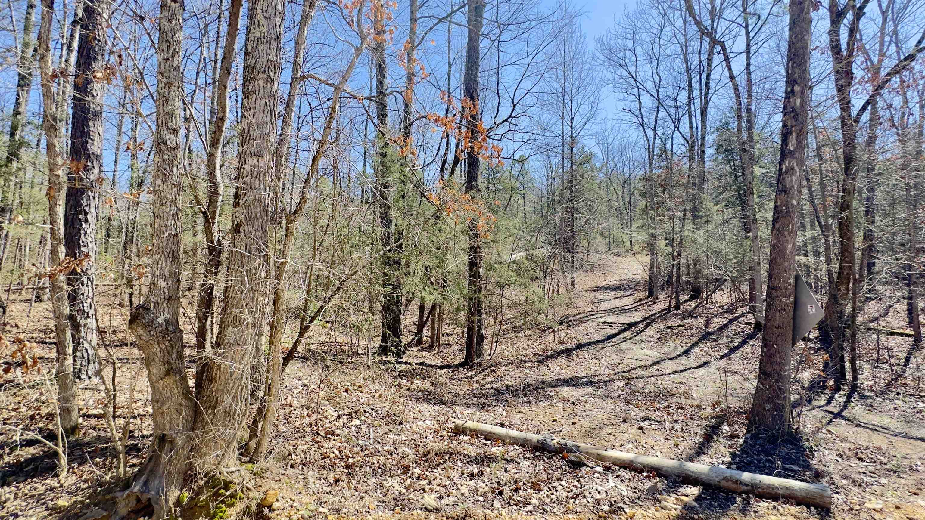 22 Red Lamb  Melbourne, AR