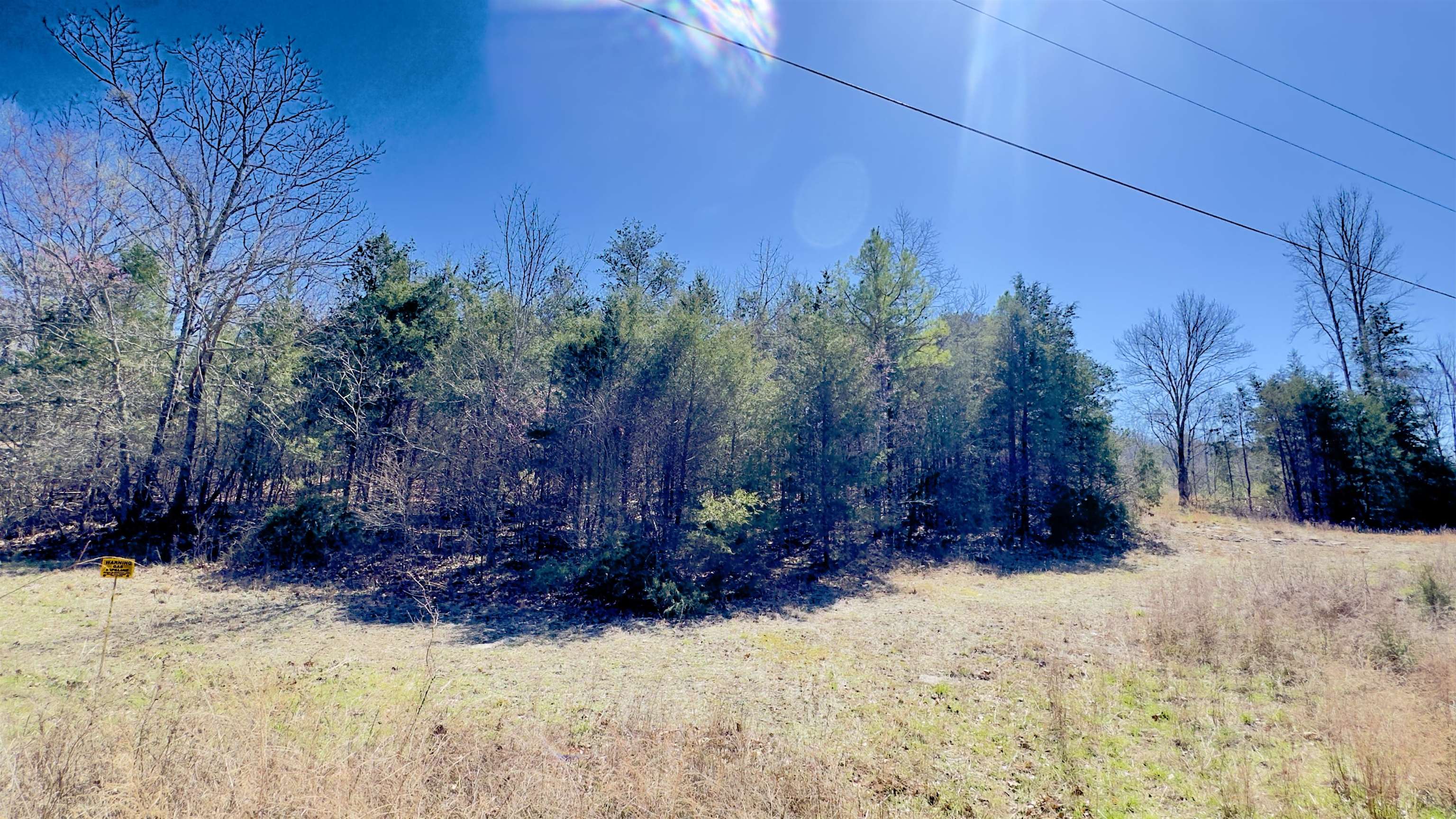 22 Red Lamb  Melbourne, AR