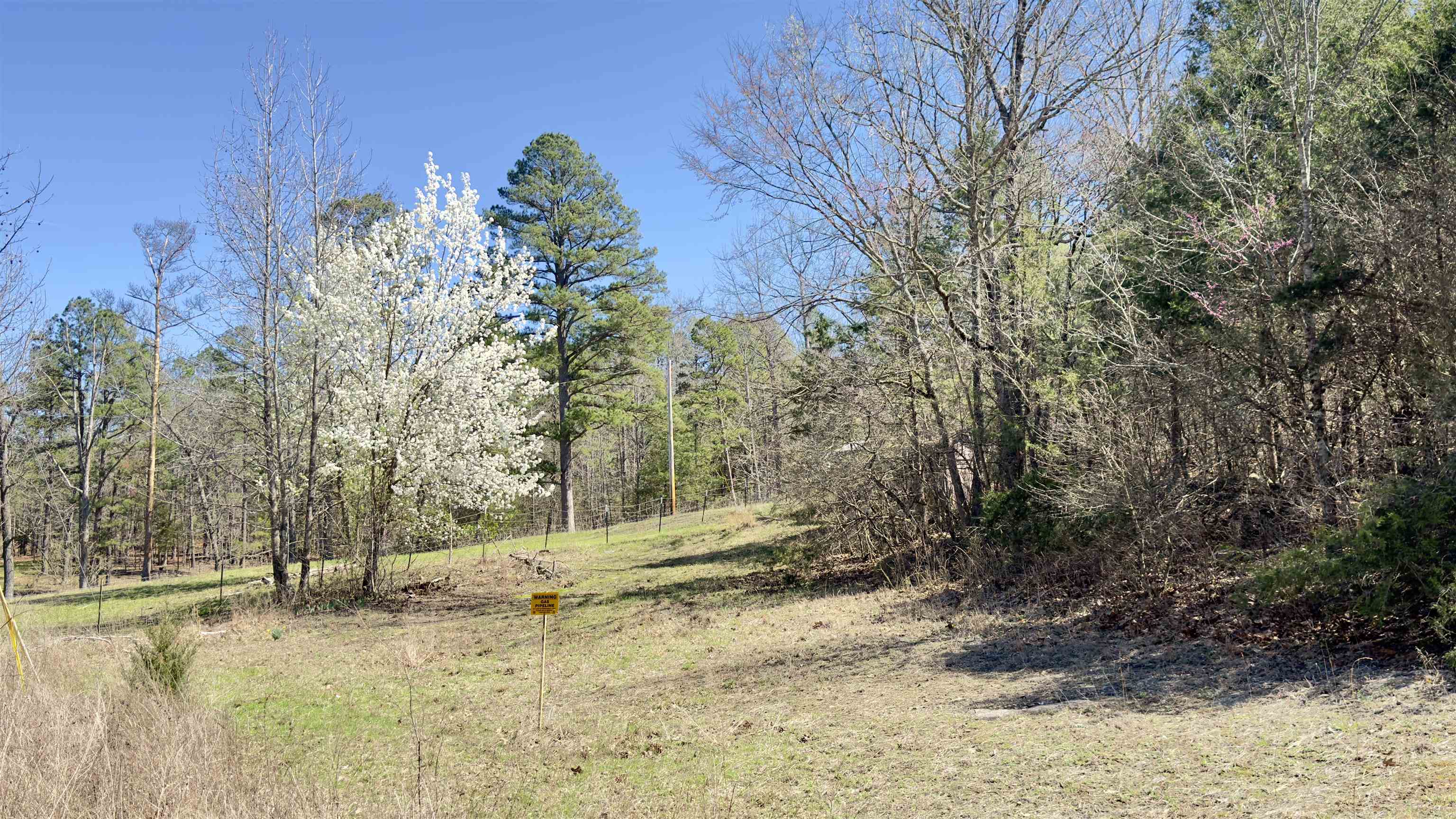 22 Red Lamb  Melbourne, AR