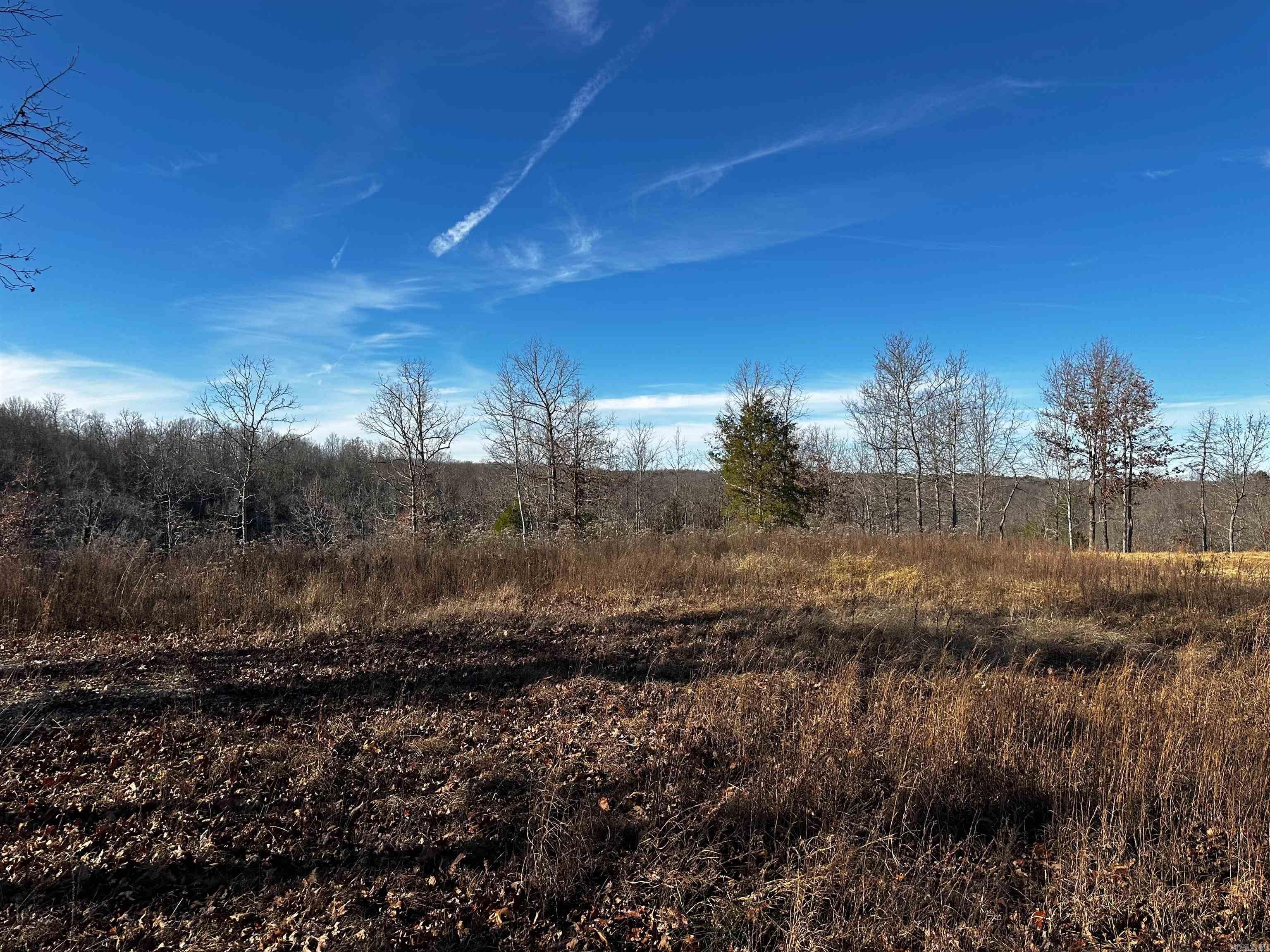 000 Heulan  Mountain View, AR