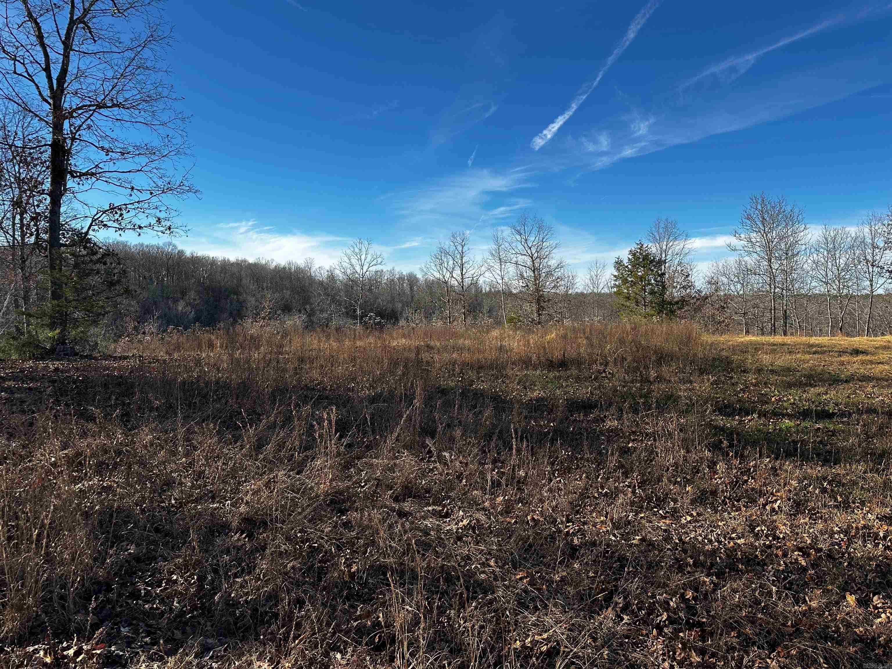 000 Heulan  Mountain View, AR