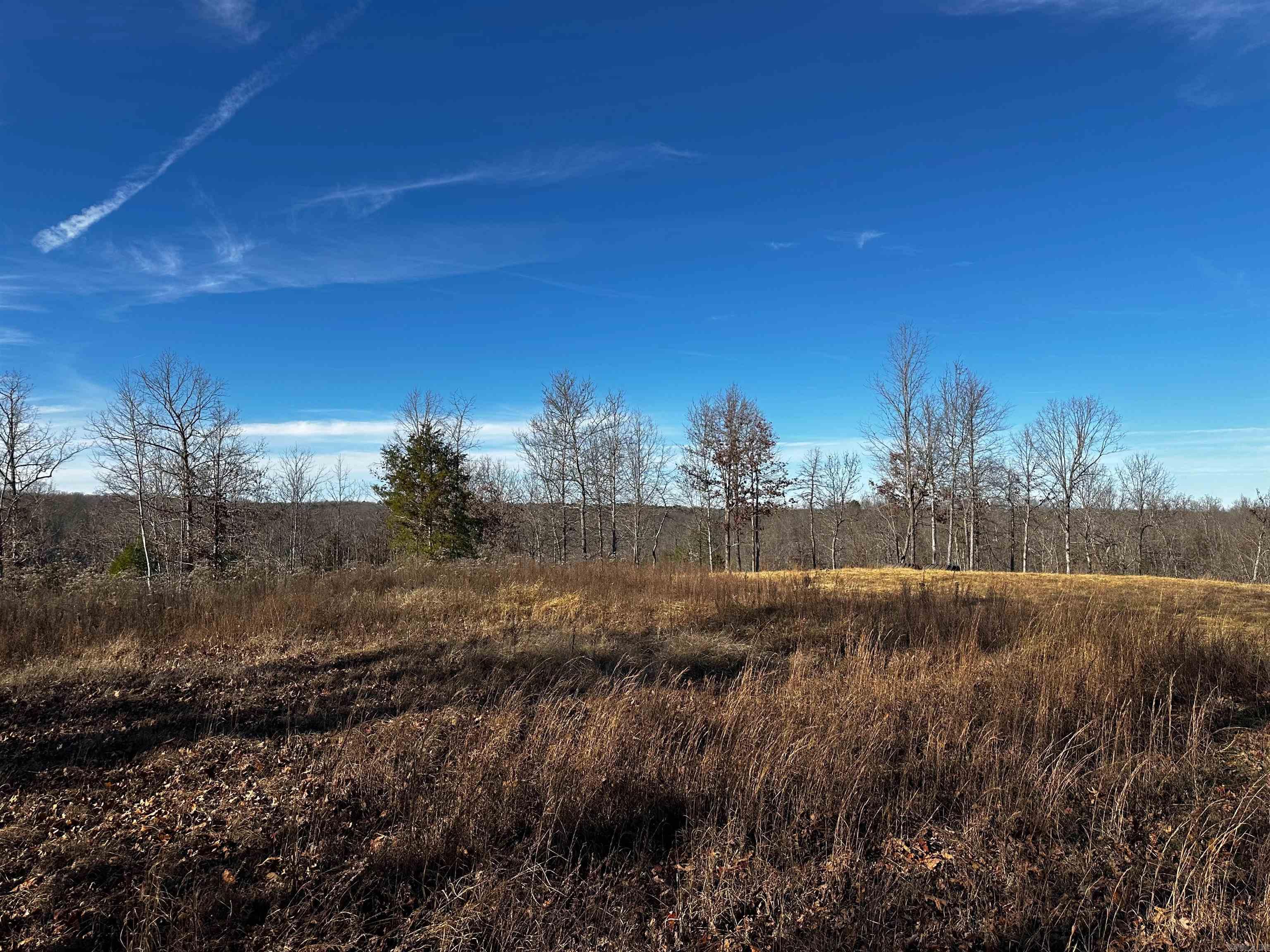 000 Heulan  Mountain View, AR