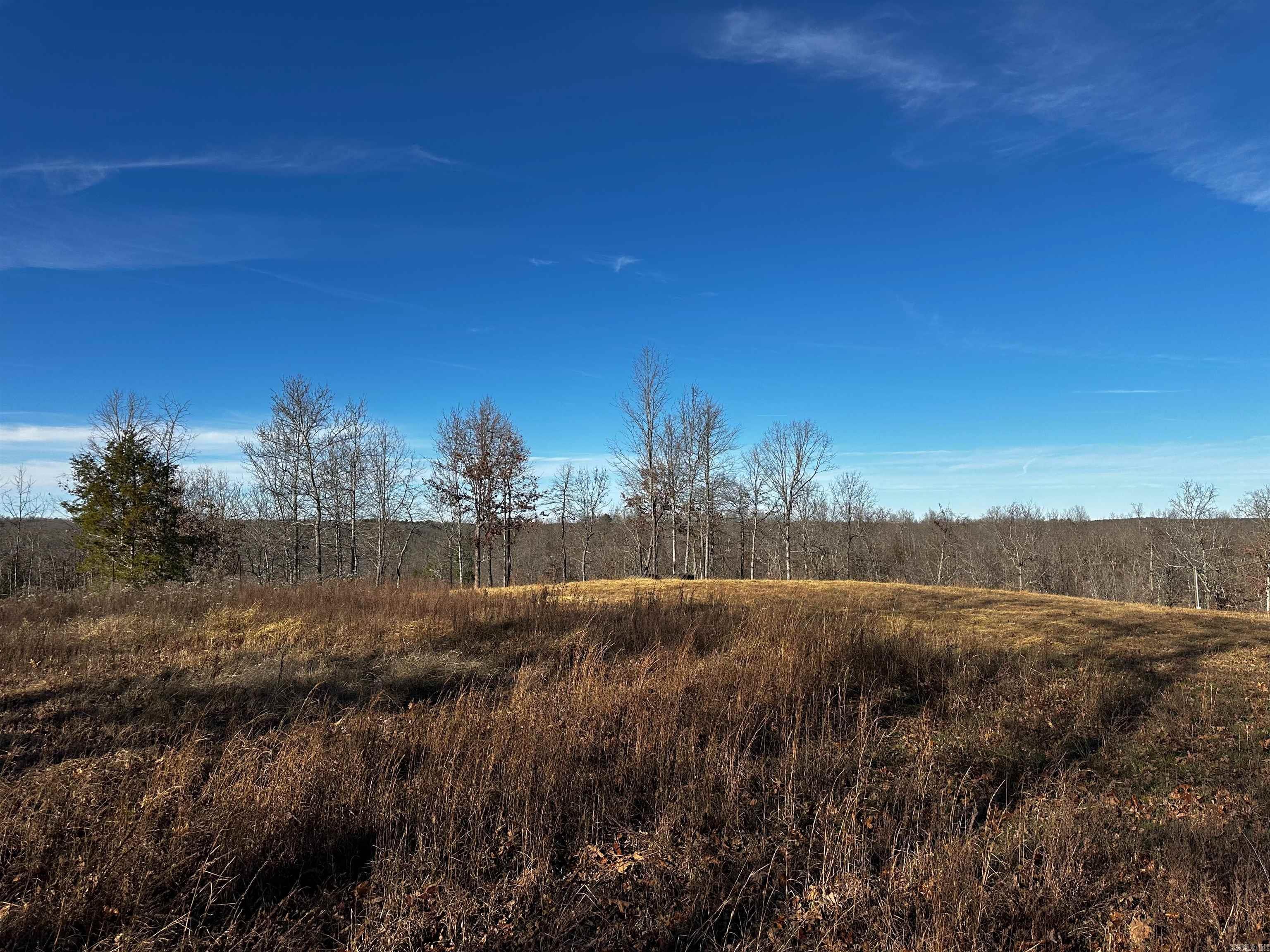 000 Heulan  Mountain View, AR