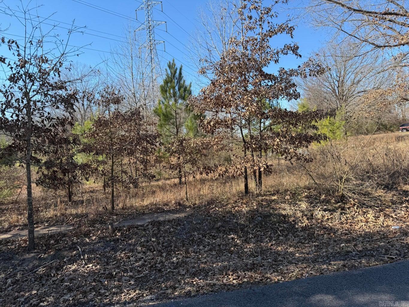 0 Weston  Magness, AR