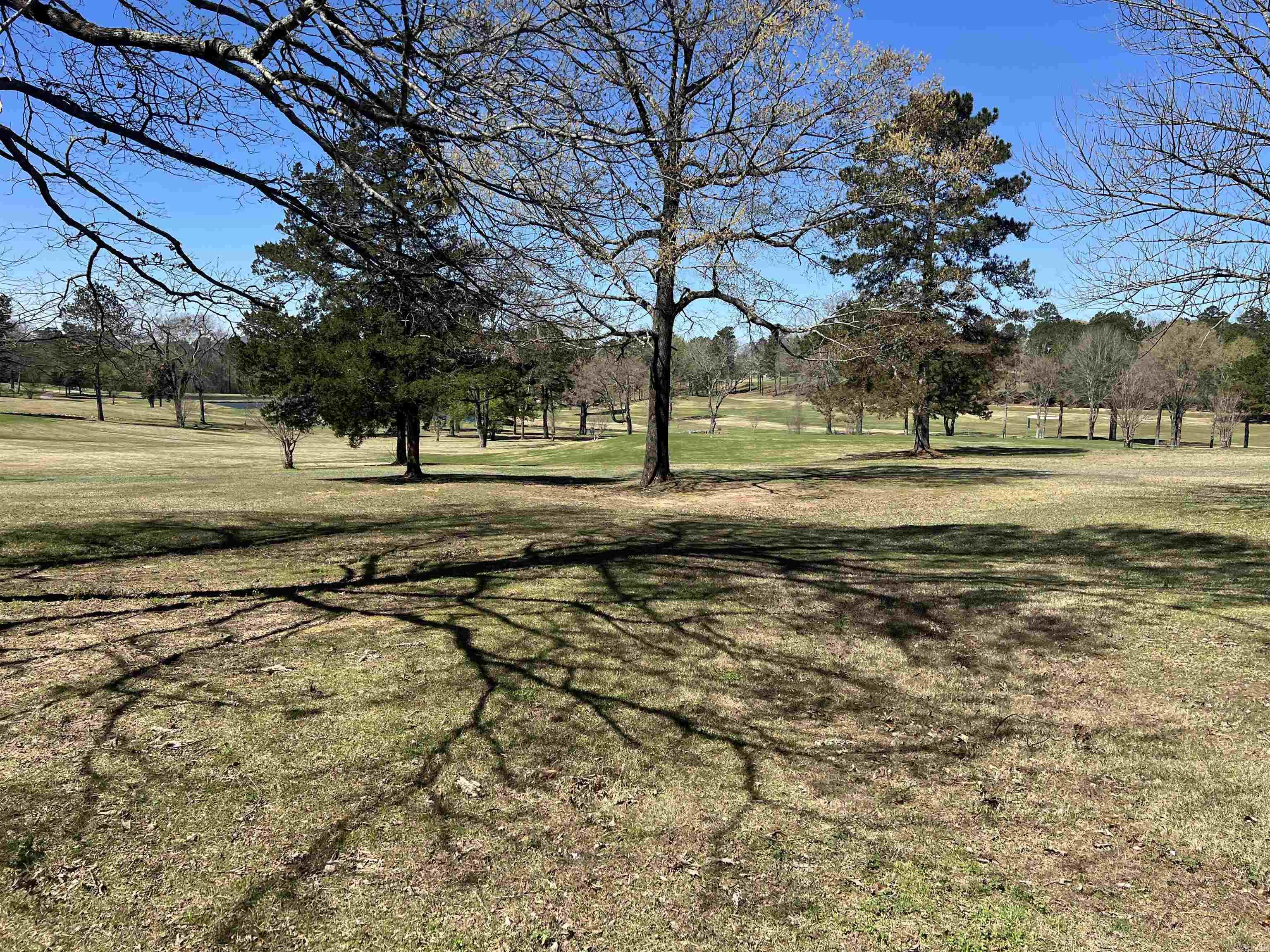 65 Golf Course  Glenwood, AR