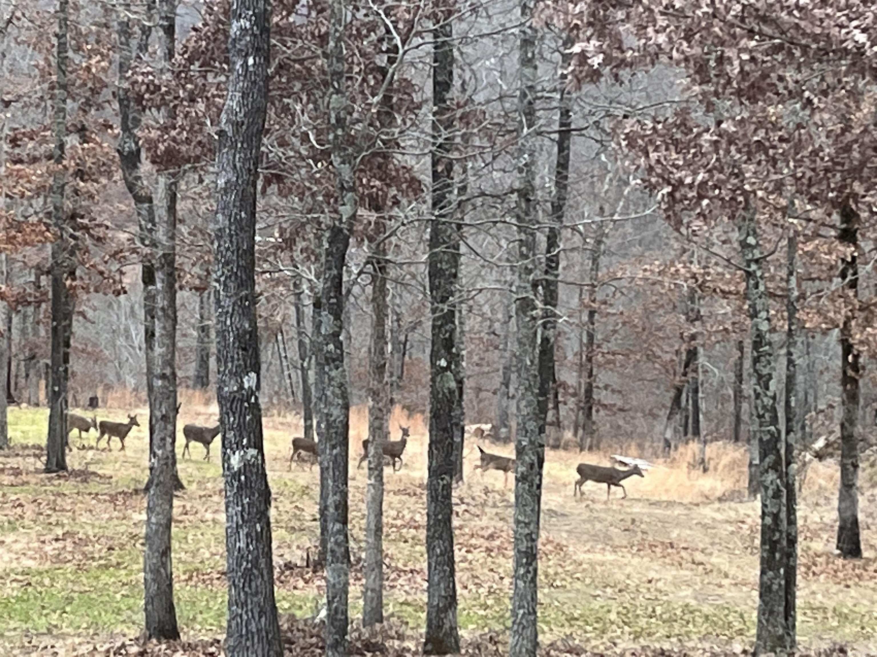 553 Madison 6615  Huntsville, AR