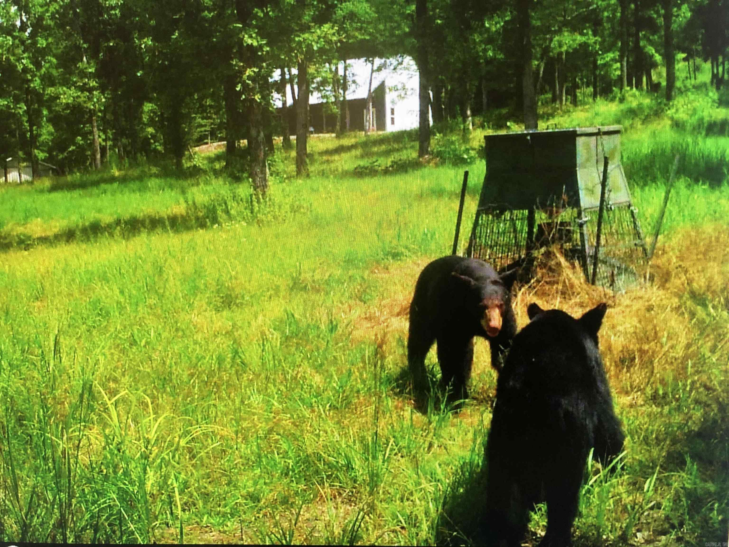 553 Madison 6615  Huntsville, AR