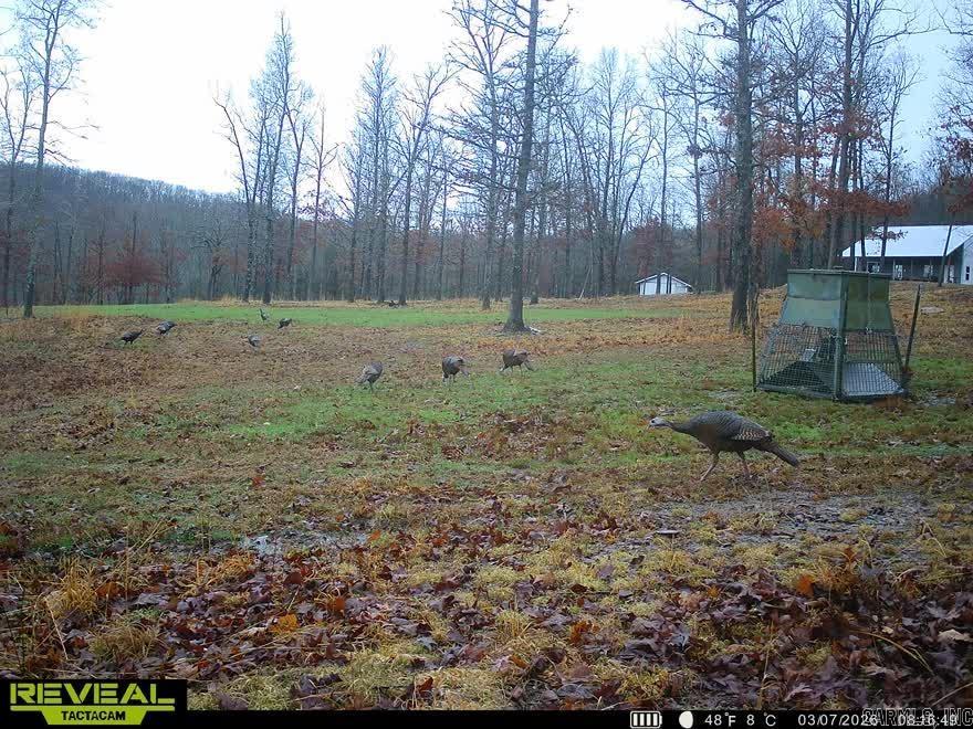 553 Madison 6615  Huntsville, AR