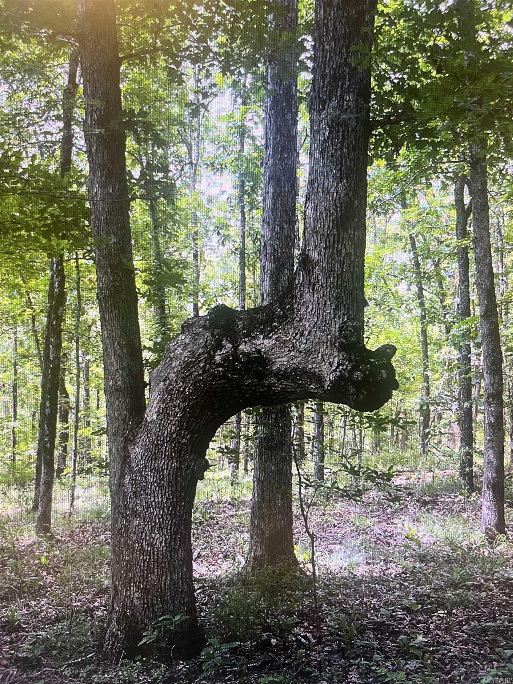 553 Madison 6615  Huntsville, AR