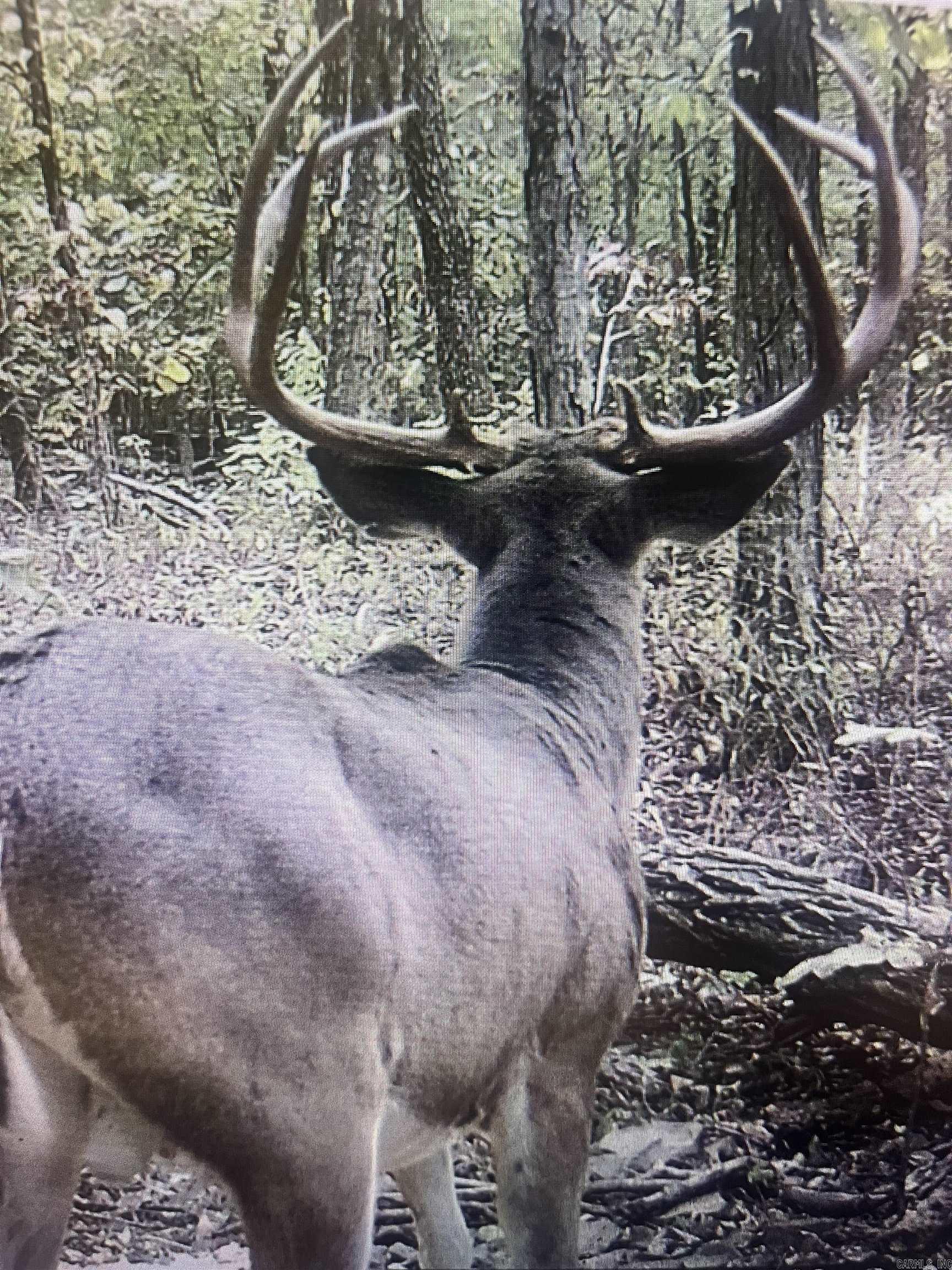 553 Madison 6615  Huntsville, AR