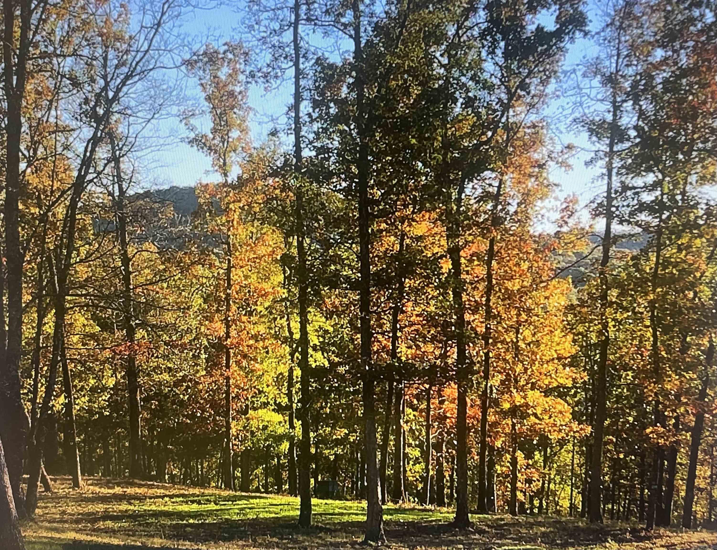 553 Madison 6615  Huntsville, AR