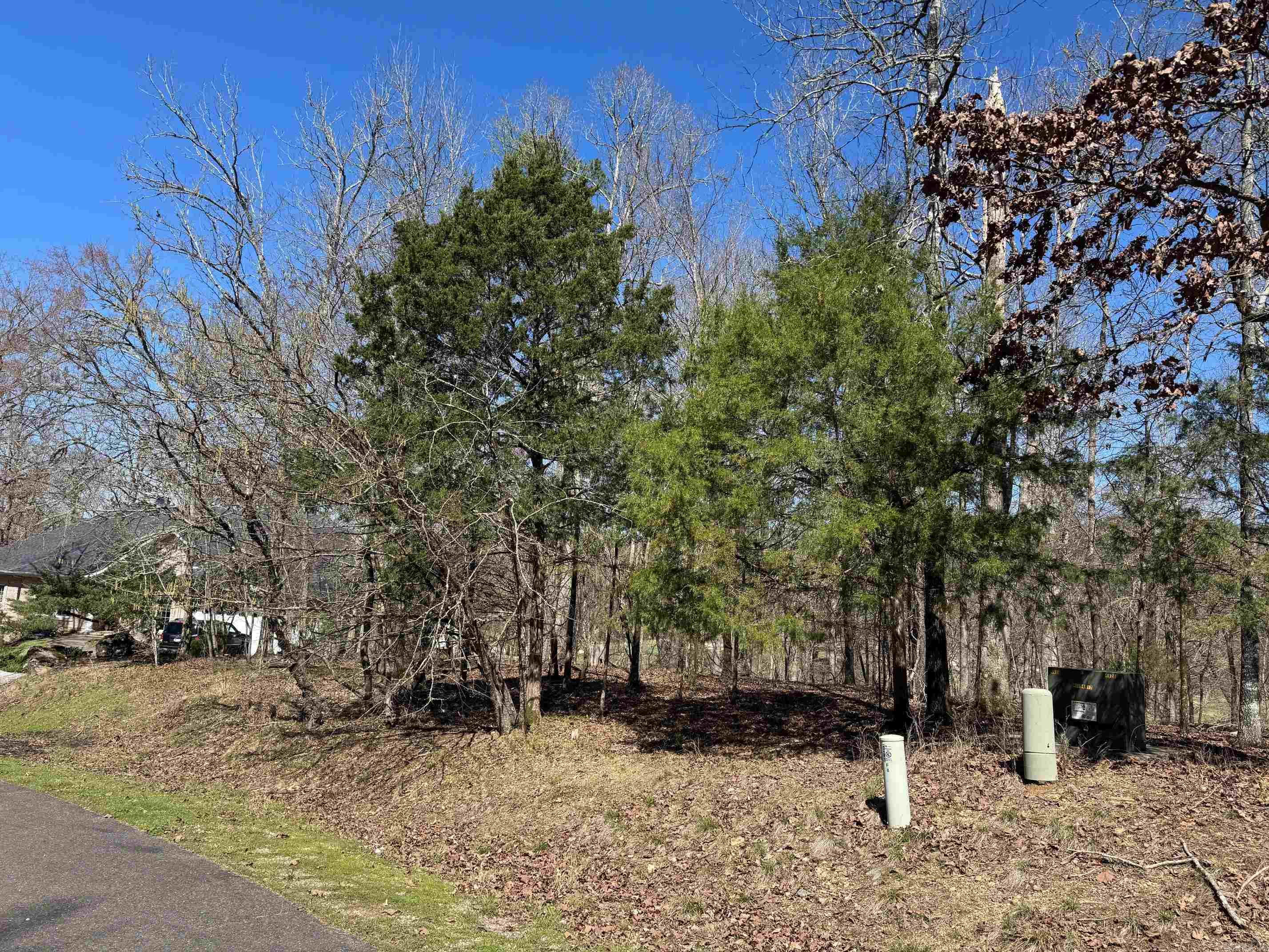 10 Princesa  Hot Springs Village, AR