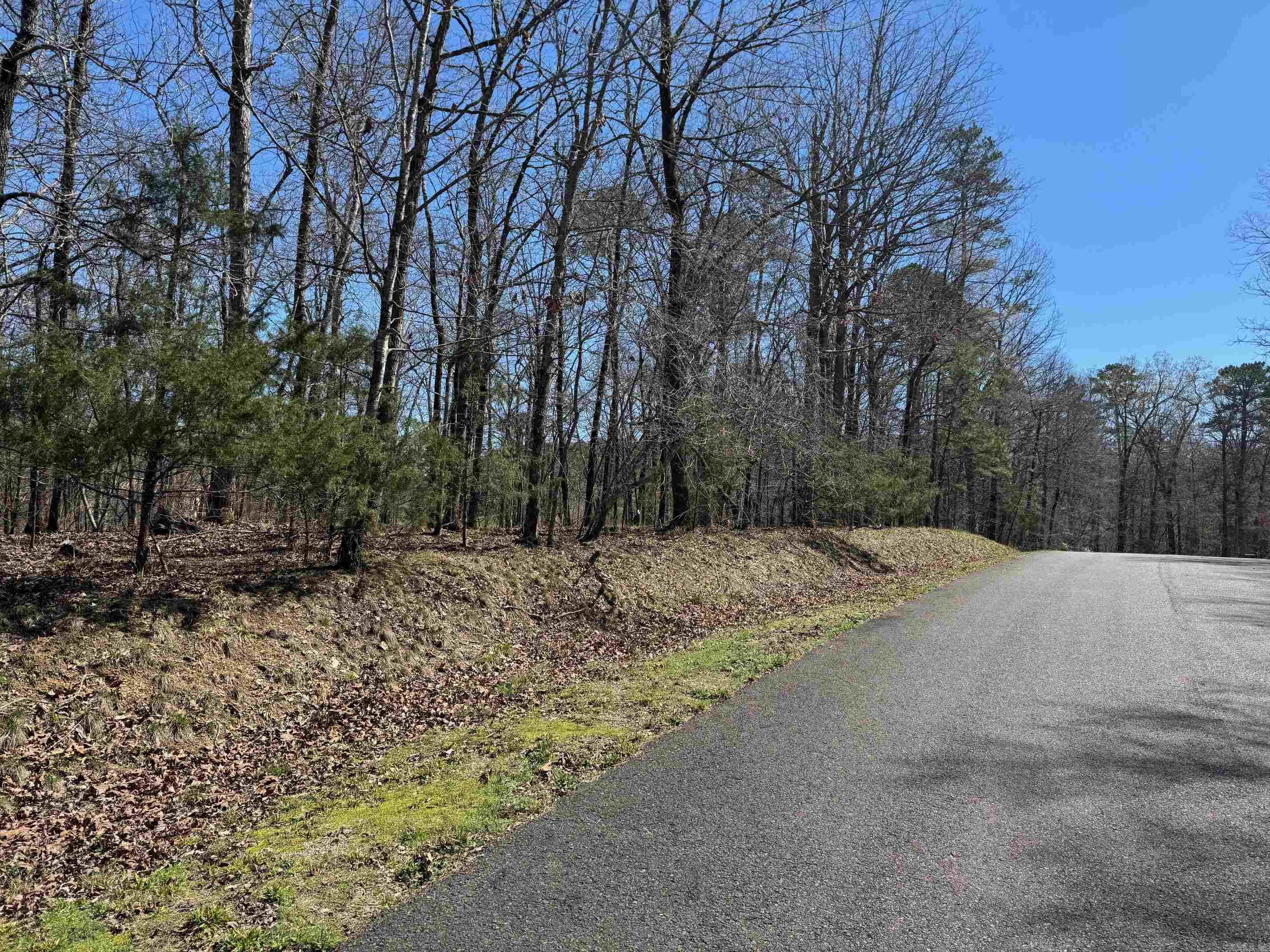 10 Princesa  Hot Springs Village, AR