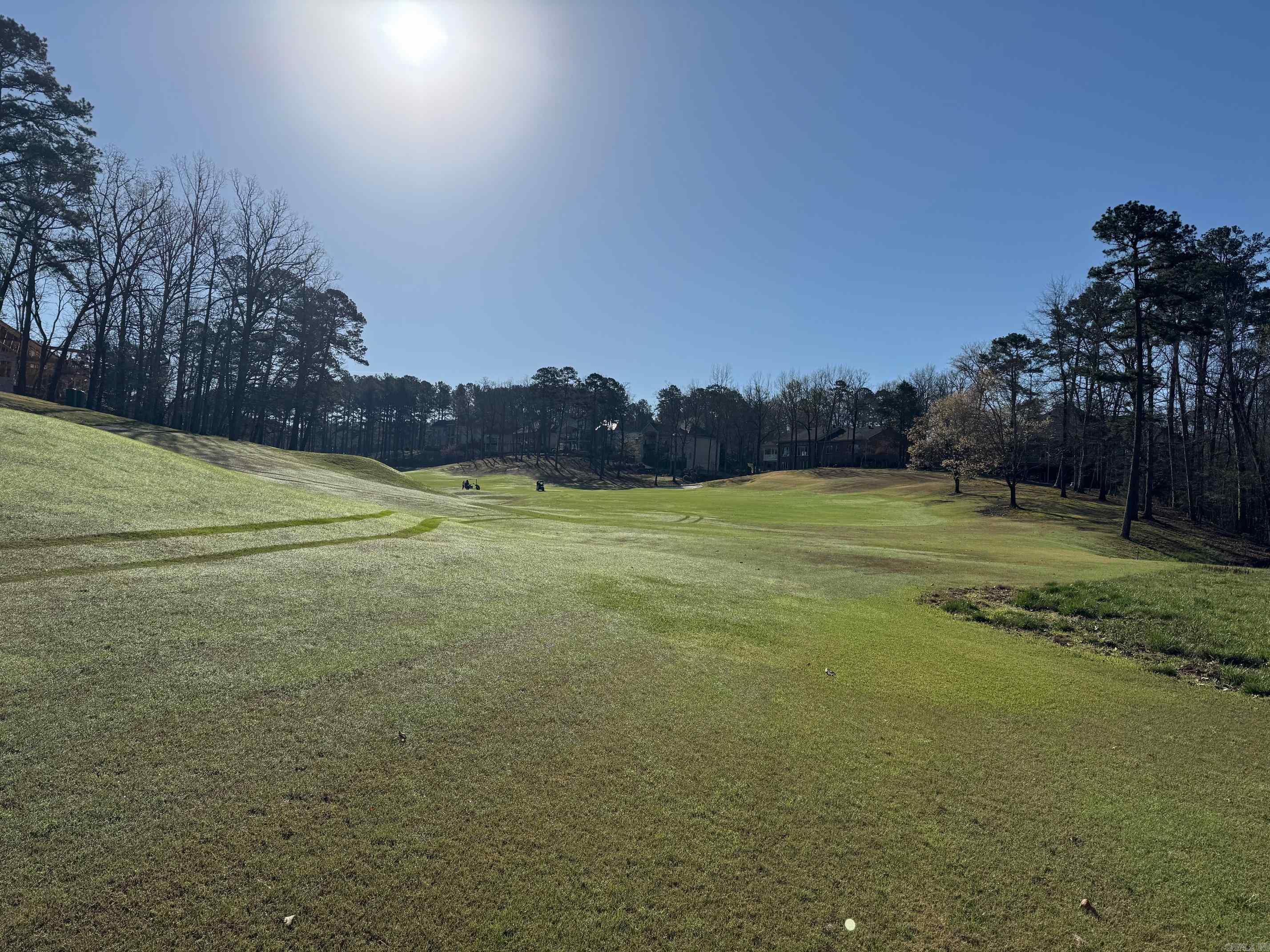 10 Princesa  Hot Springs Village, AR