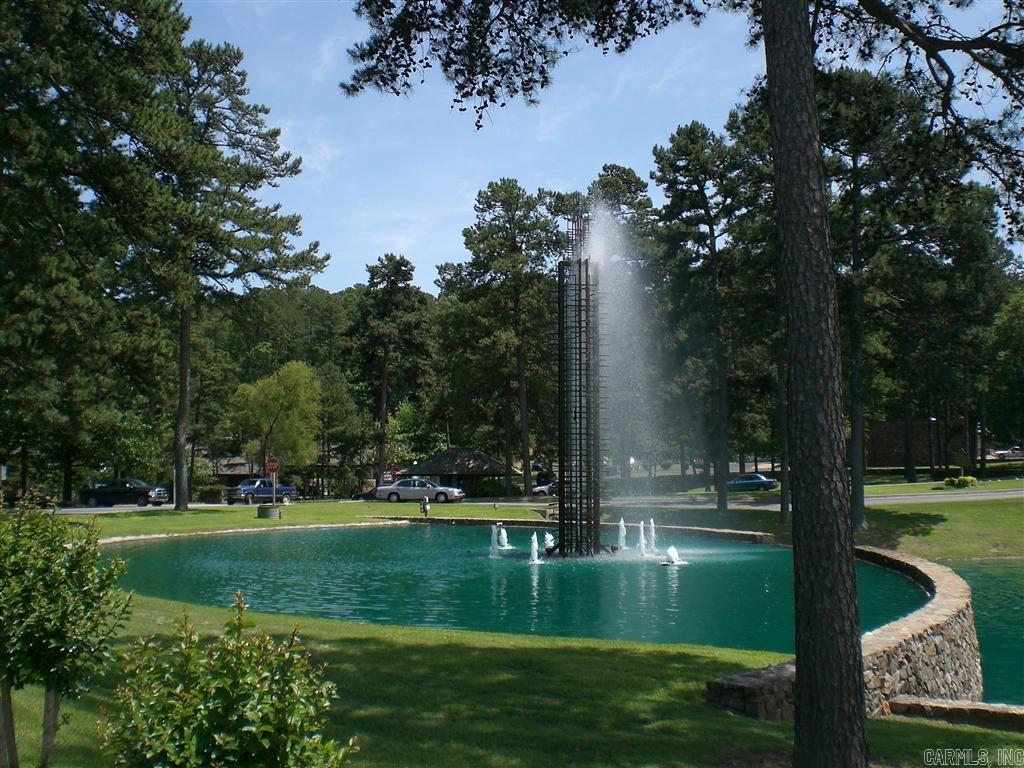 10 Princesa  Hot Springs Village, AR
